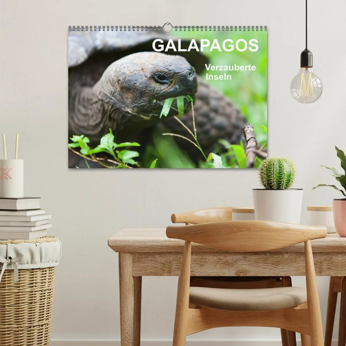 Bild: 9783516076950 | Galapagos. Verzauberte Inseln (Wandkalender 2026 DIN A3 quer),...