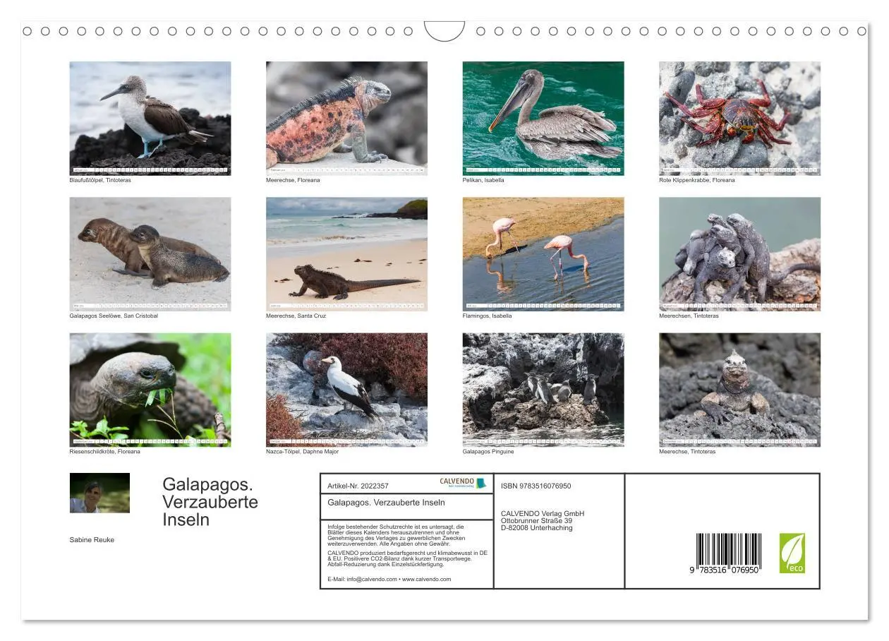 Bild: 9783516076950 | Galapagos. Verzauberte Inseln (Wandkalender 2026 DIN A3 quer),...