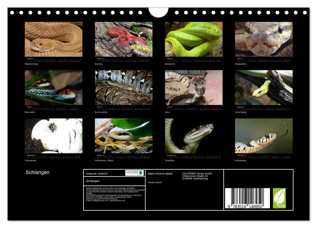 Bild: 9783516146950 | Schlangen (Wandkalender 2026 DIN A4 quer), CALVENDO Monatskalender