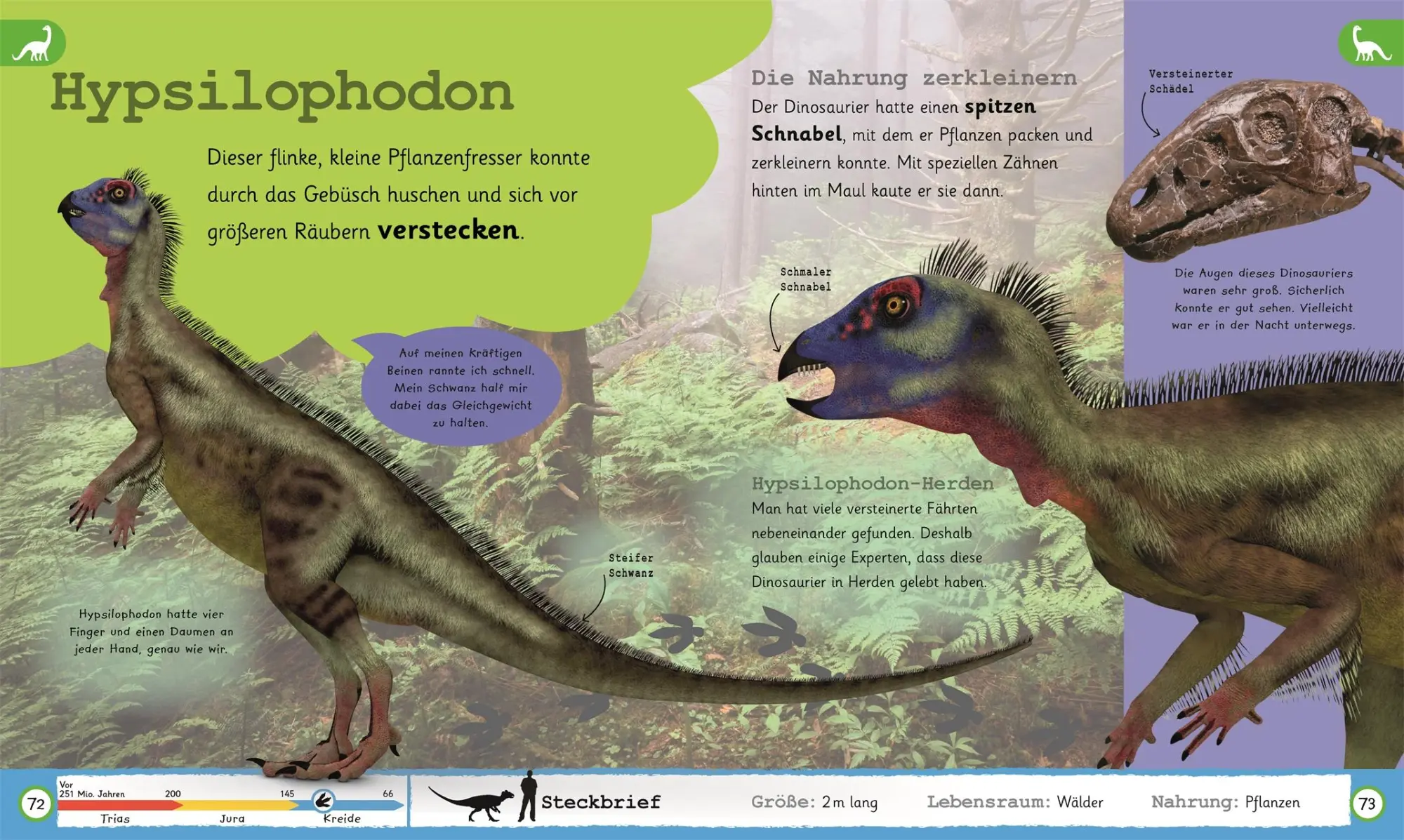 Bild: 9783831036950 | Was weißt du über Dinos? | Eva Sixt | Buch | 224 S. | Deutsch | 2019