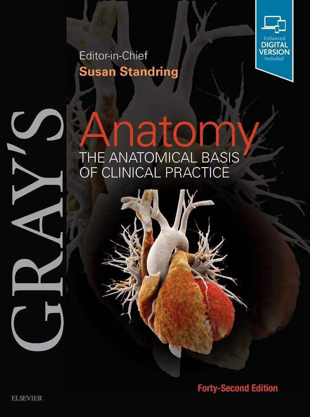 Cover: 9780702077050 | Gray's Anatomy | The Anatomical Basis of Clinical Practice | Standring