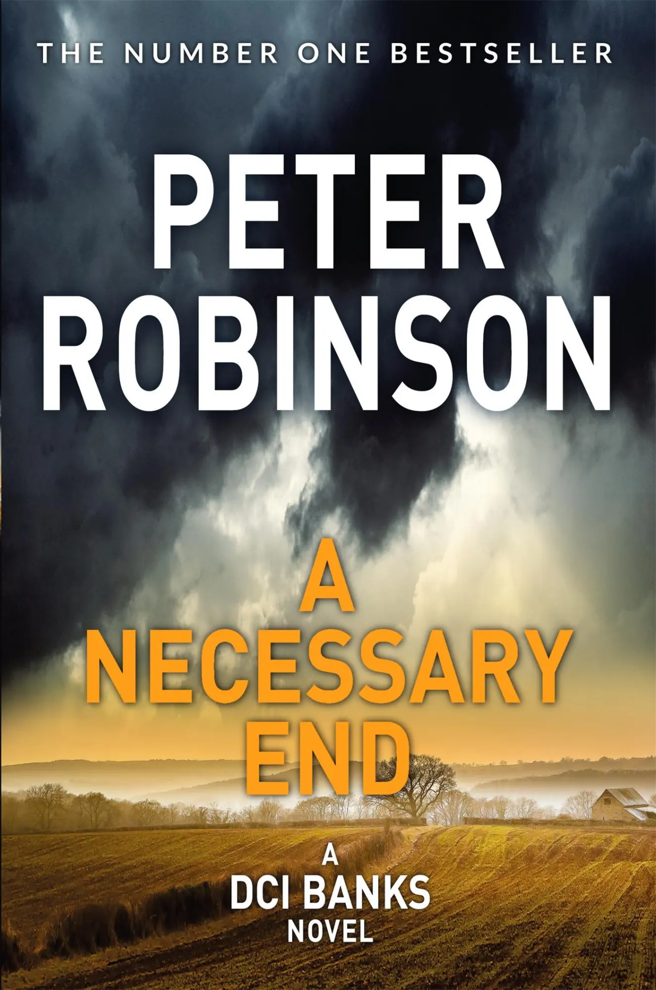 Cover: 9781509857050 | A Necessary End | Peter Robinson | Taschenbuch | Englisch | 2018