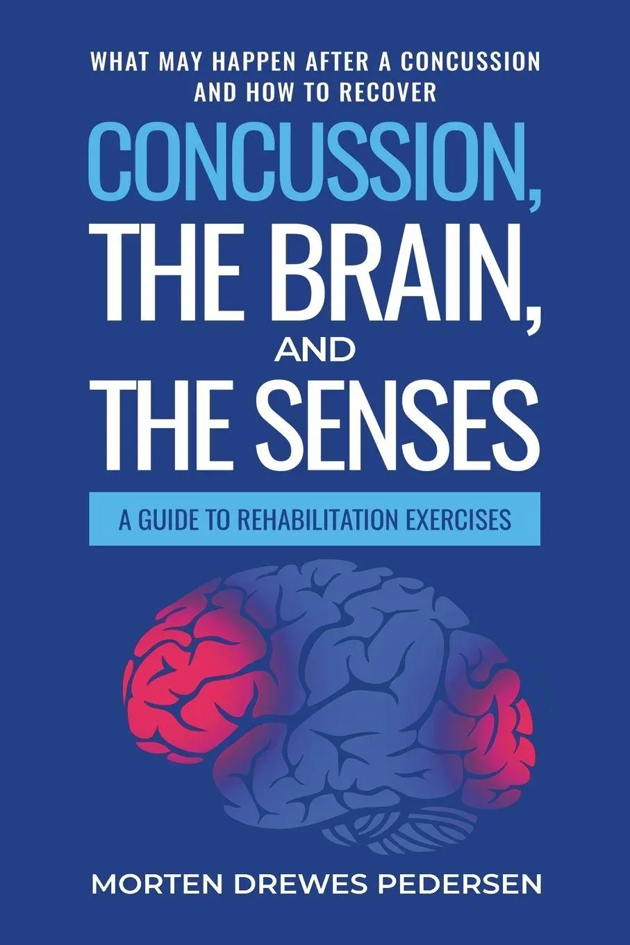 Cover: 9781835567050 | Concussion, the Brain, and the Senses | Morten Drewes Pedersen | Buch