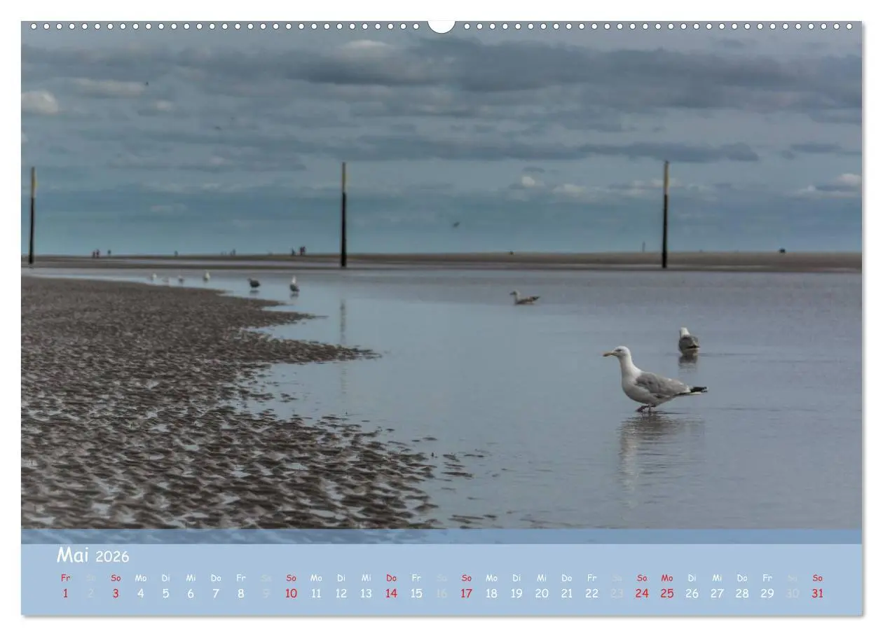 Bild: 9783516107050 | Mein St.Peter-Ording (Wandkalender 2026 DIN A2 quer), CALVENDO...