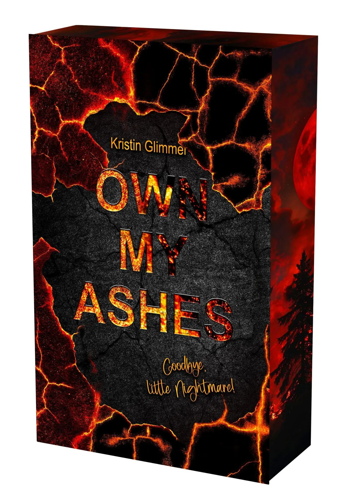 Cover: 9783690287050 | own my ashes | Goodbye, little Nightmare Mit wunderschönem Farbschnitt