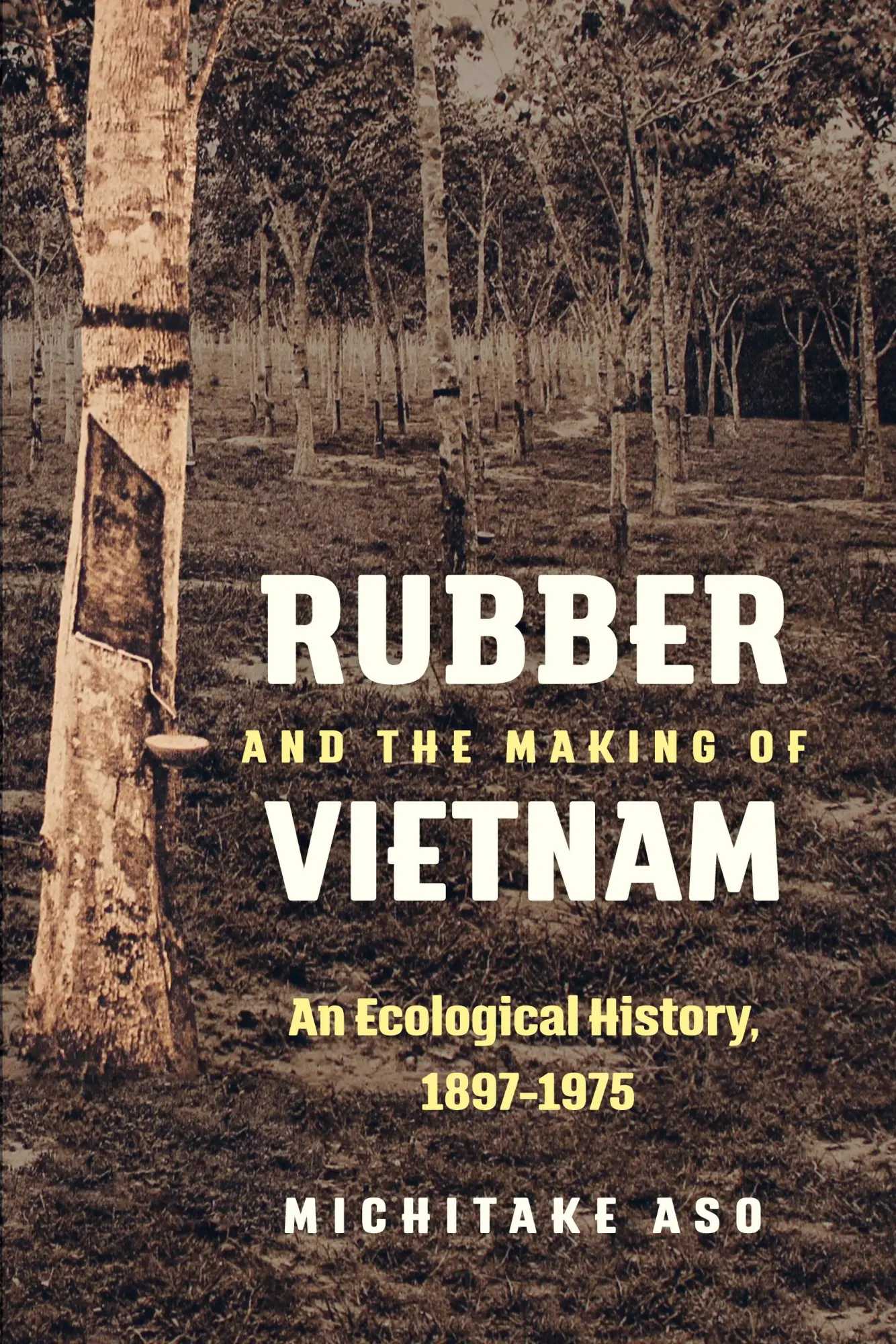 Cover: 9781469637150 | Rubber and the Making of Vietnam | An Ecological History, 1897-1975