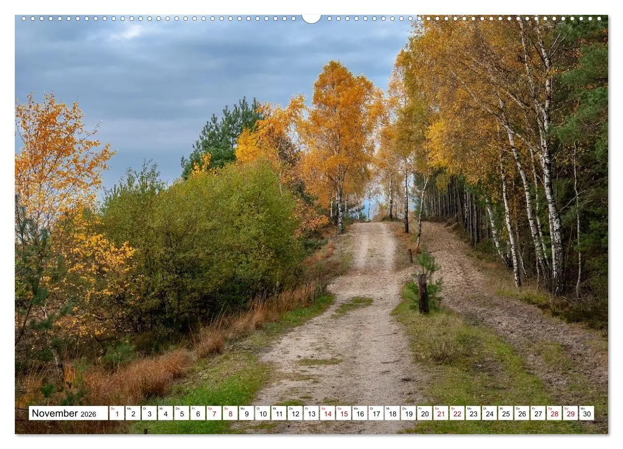 Bild: 9783516717150 | Lüneburger Heide: Die Nordheide (hochwertiger Premium Wandkalender...