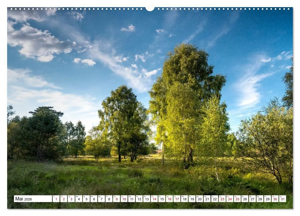 Bild: 9783516717150 | Lüneburger Heide: Die Nordheide (hochwertiger Premium Wandkalender...