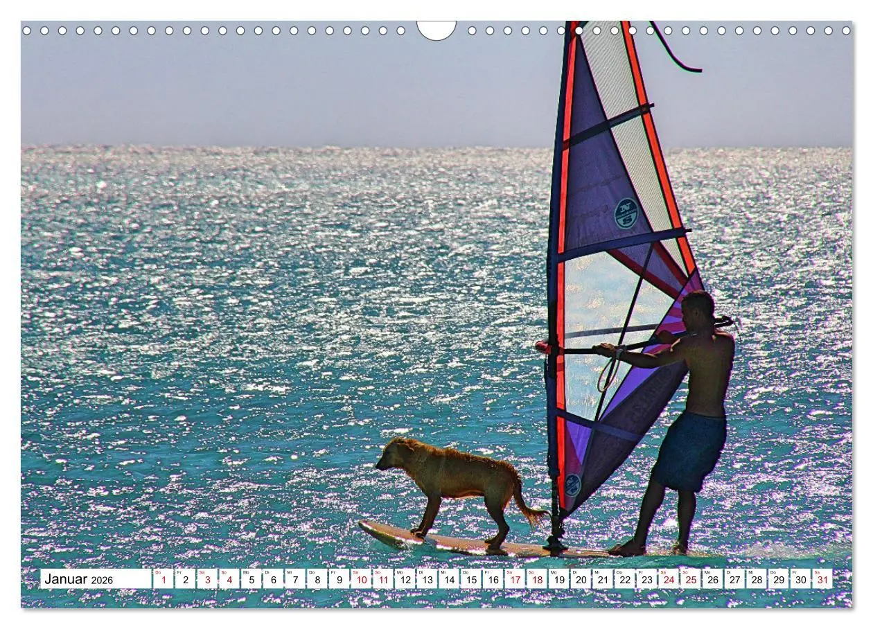 Bild: 9783457547250 | Funsport Windsurfen (Wandkalender 2026 DIN A3 quer), CALVENDO...