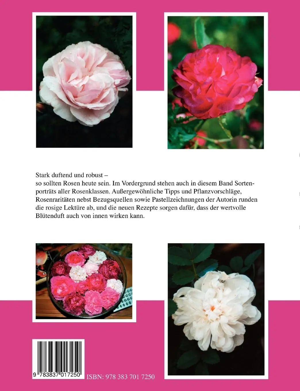 Rückseite: 9783837017250 | Robuste Rosen mit Duft Teil II | Mit Zeichnungen der Autorin | Buch