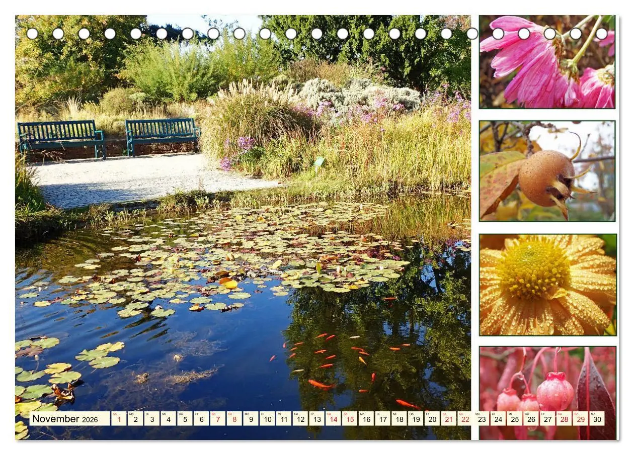 Bild: 9783457917350 | Im Hermannshof - Ein Traumgarten in Weinheim (Tischkalender 2026...