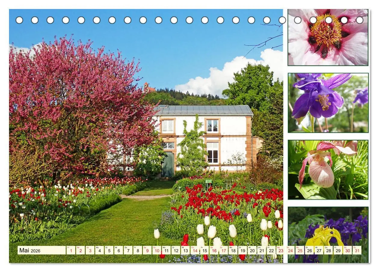 Bild: 9783457917350 | Im Hermannshof - Ein Traumgarten in Weinheim (Tischkalender 2026...