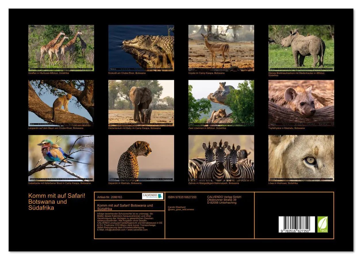 Bild: 9783516627350 | Komm mit auf Safari! Botswana und Südafrika (hochwertiger Premium...