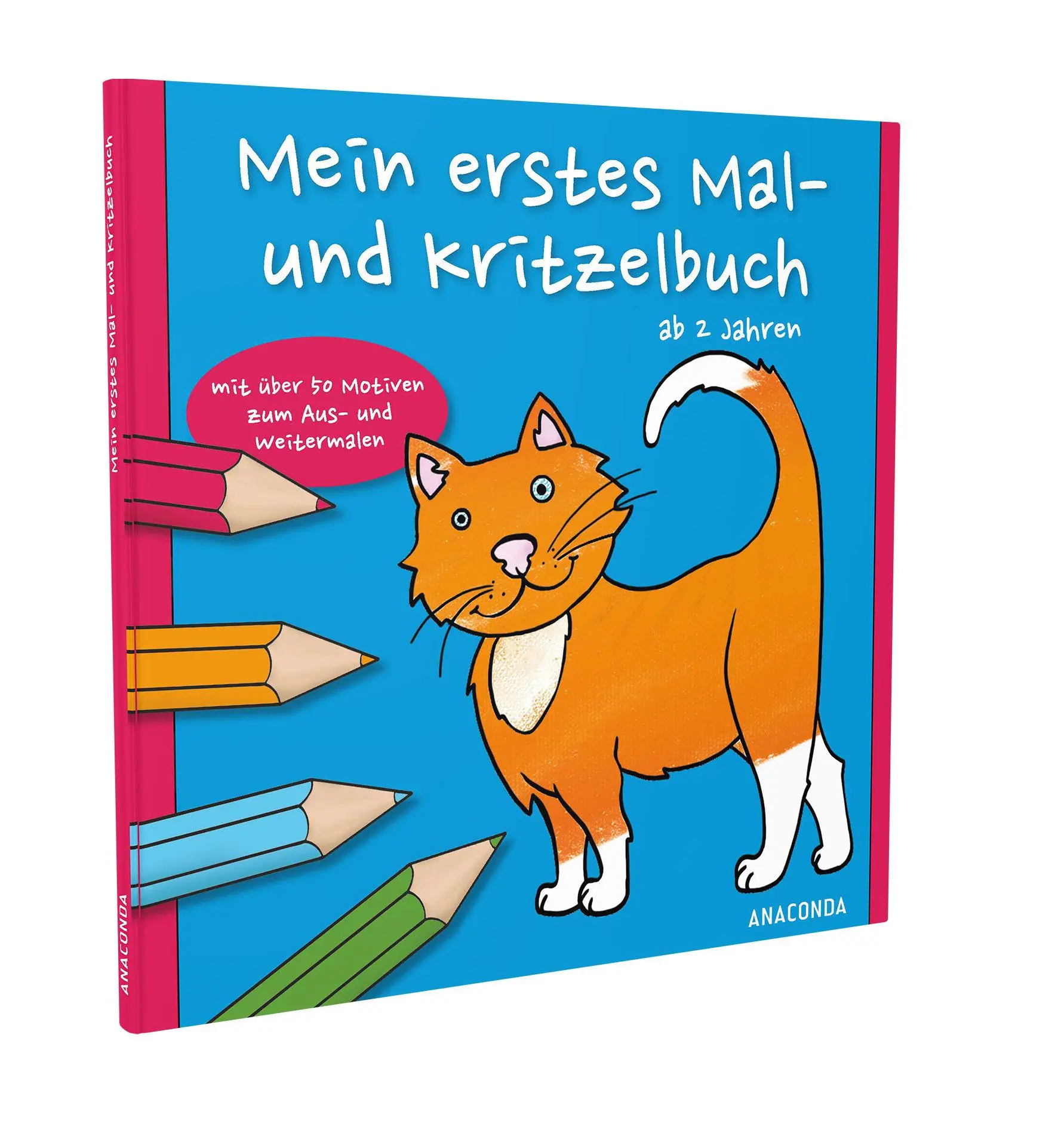 Bild: 9783730607350 | Mein erstes Mal- und Kritzelbuch | Anne Bernhardi | Taschenbuch | 2019