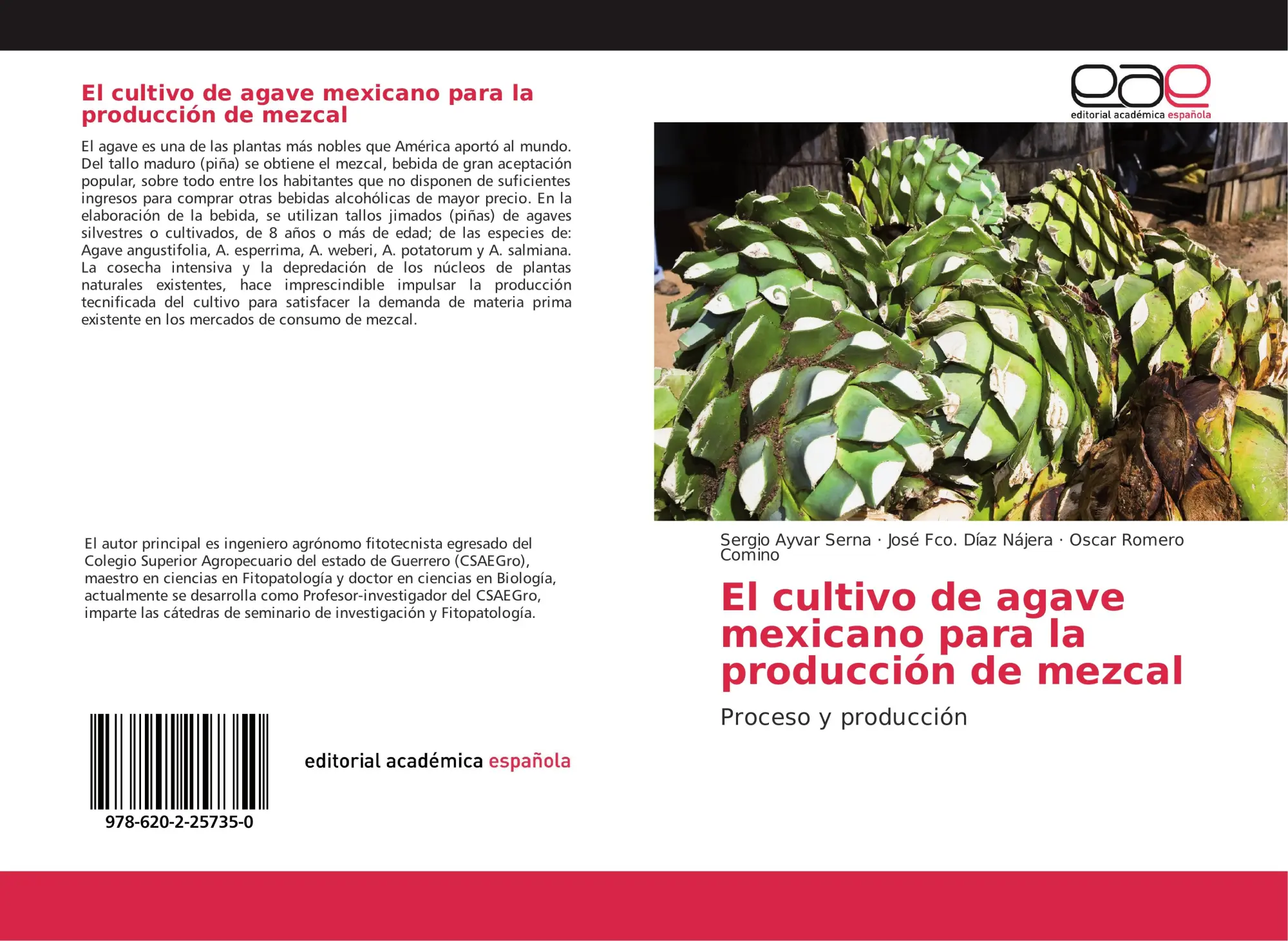 Cover: 9786202257350 | El cultivo de agave mexicano para la producción de mezcal | Buch