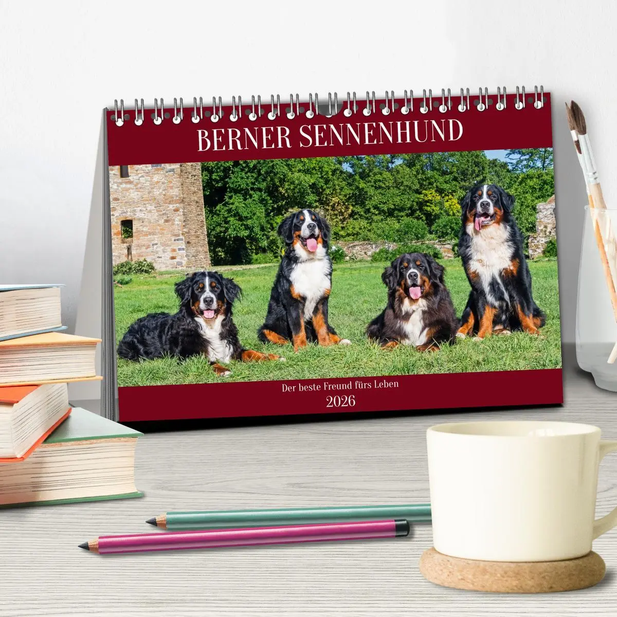 Bild: 9783457387450 | Berner Sennenhund - Der beste Freund fürs Leben (Tischkalender 2026...