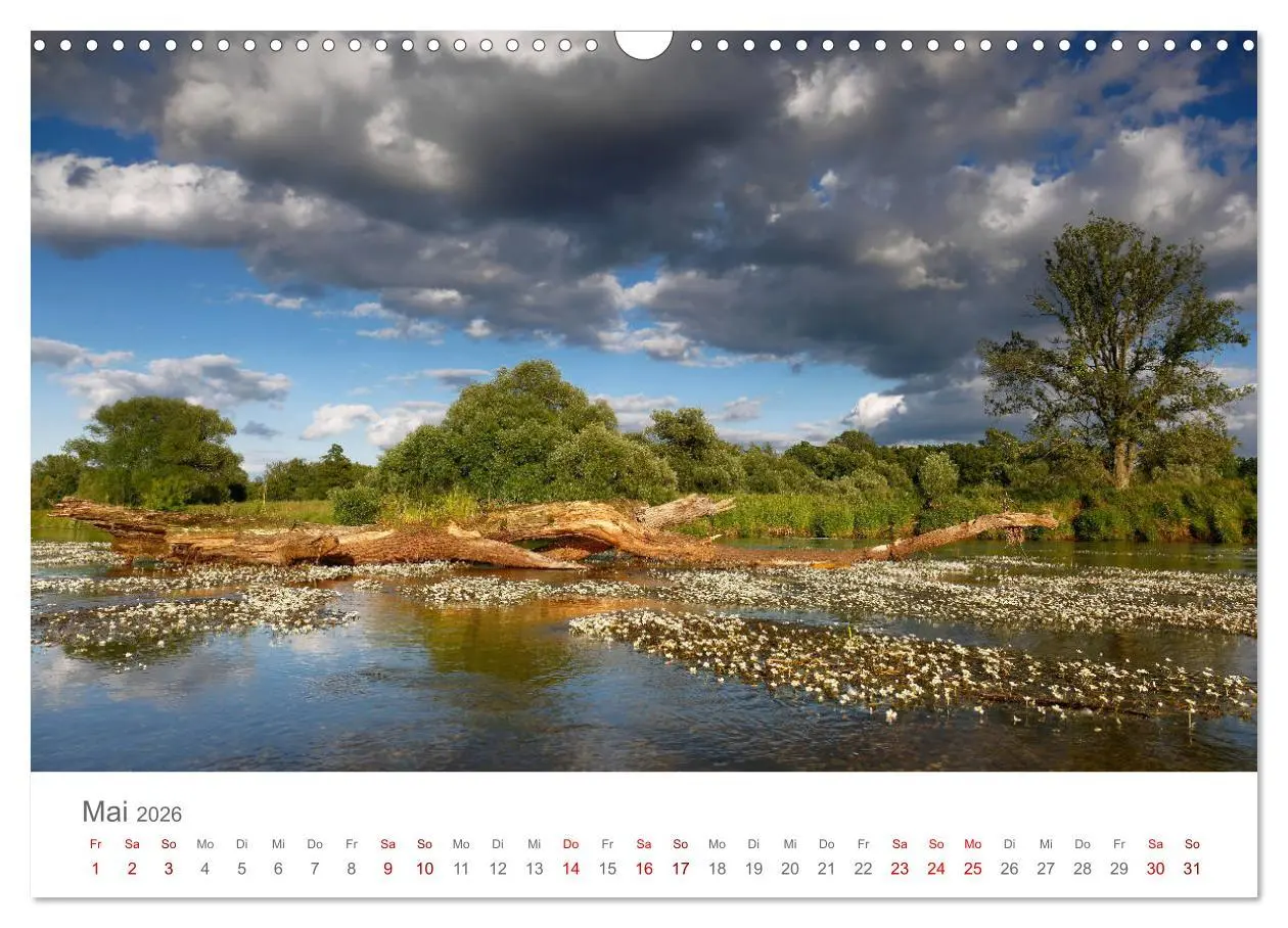 Bild: 9783457767450 | Dessau Design und ein schöner Park (Wandkalender 2026 DIN A3 quer),...