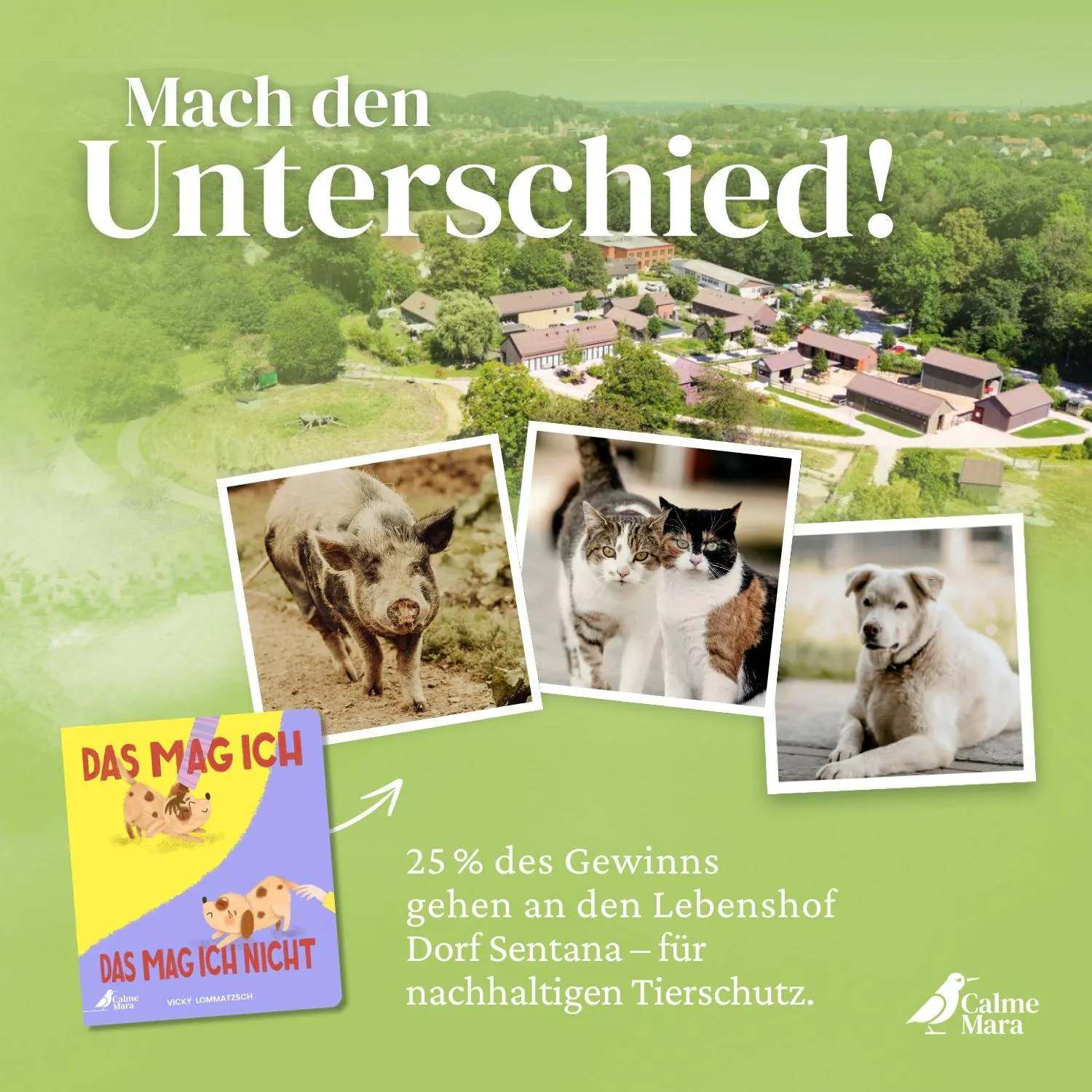 Bild: 9783948877750 | Das mag ich - Das mag ich nicht | Vicky Lommatzsch | Buch | 24 S.