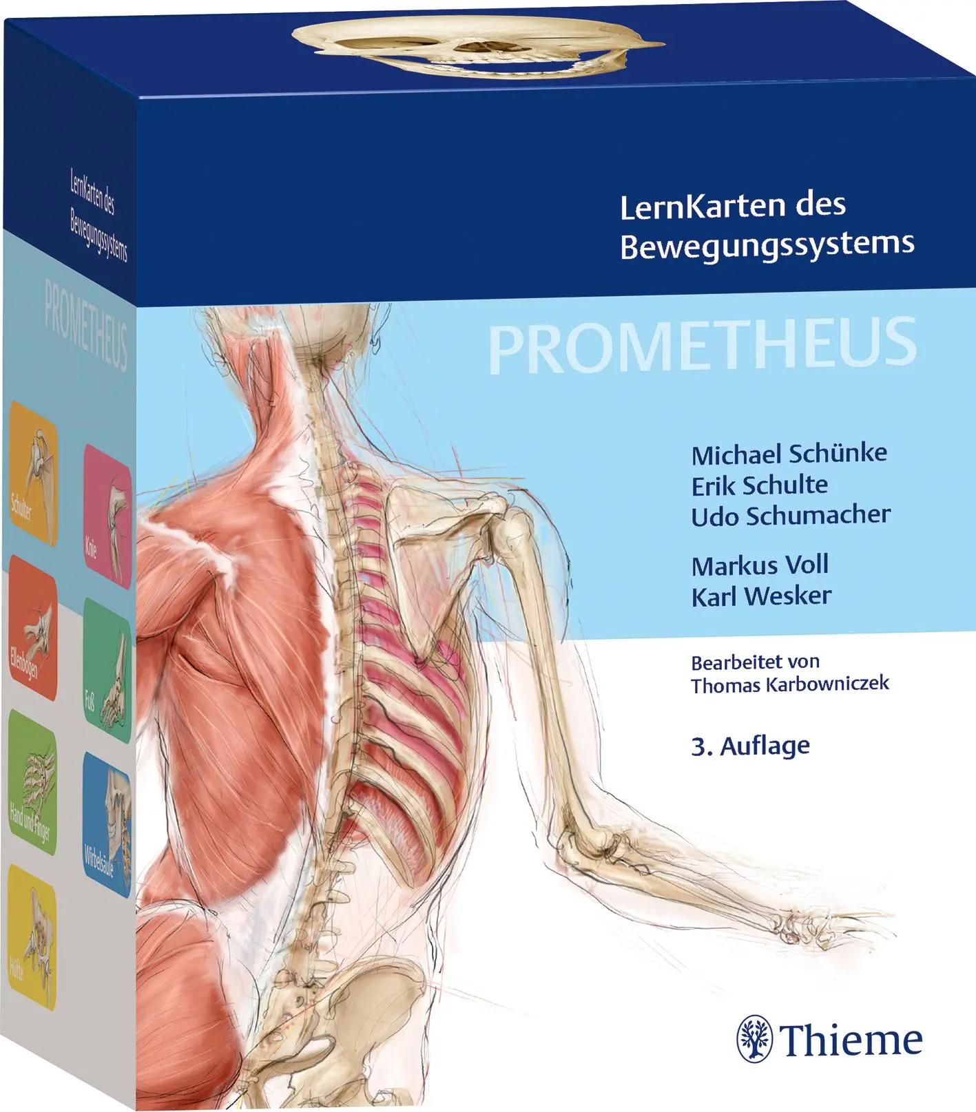 Cover: 9783132457850 | PROMETHEUS LernKarten des Bewegungssystems | Michael Schünke (u. a.)