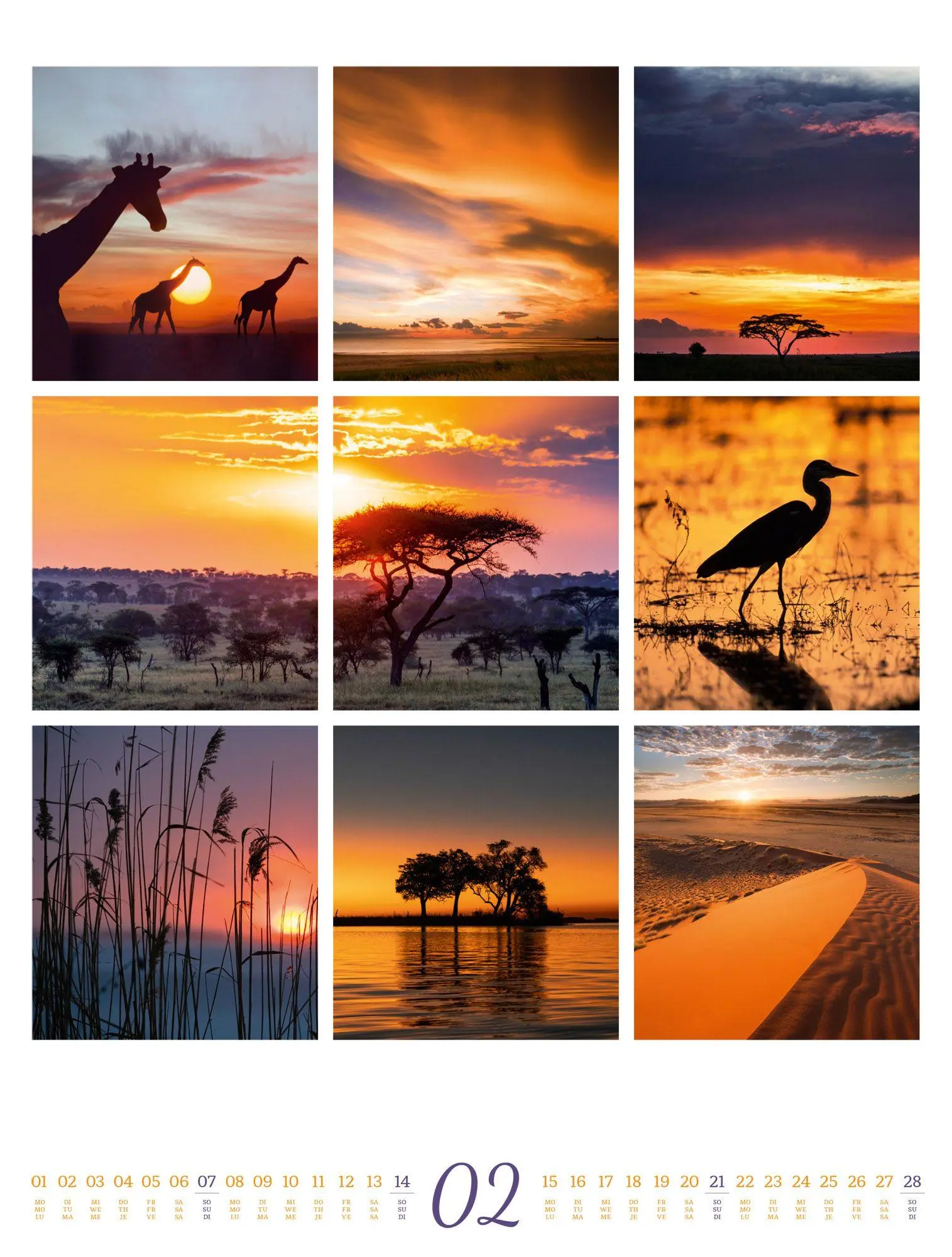 Bild: 9783838427850 | Inspiration Natur Kalender 2027 | Ackermann Kunstverlag GmbH | 14 S.