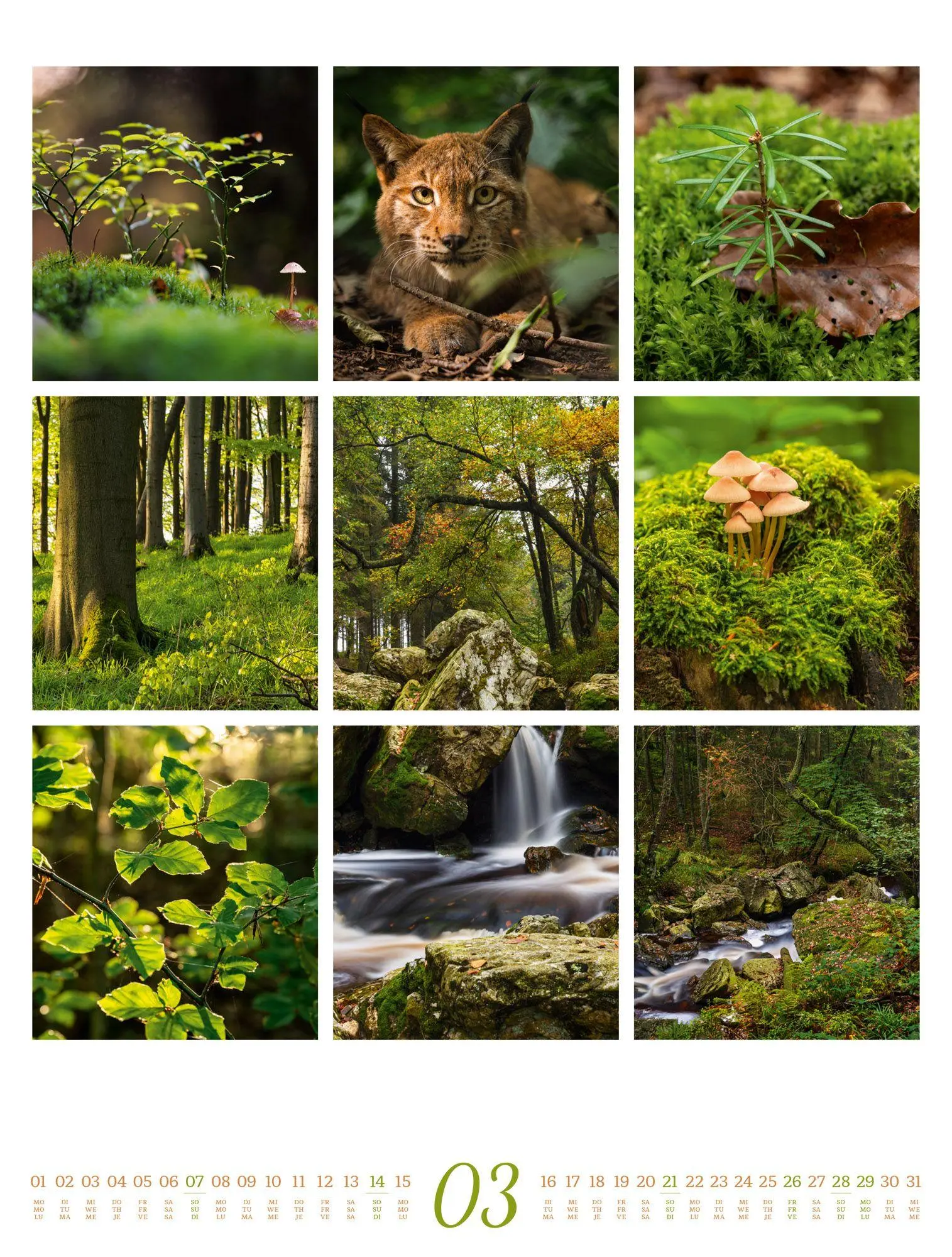 Bild: 9783838427850 | Inspiration Natur Kalender 2027 | Ackermann Kunstverlag GmbH | 14 S.