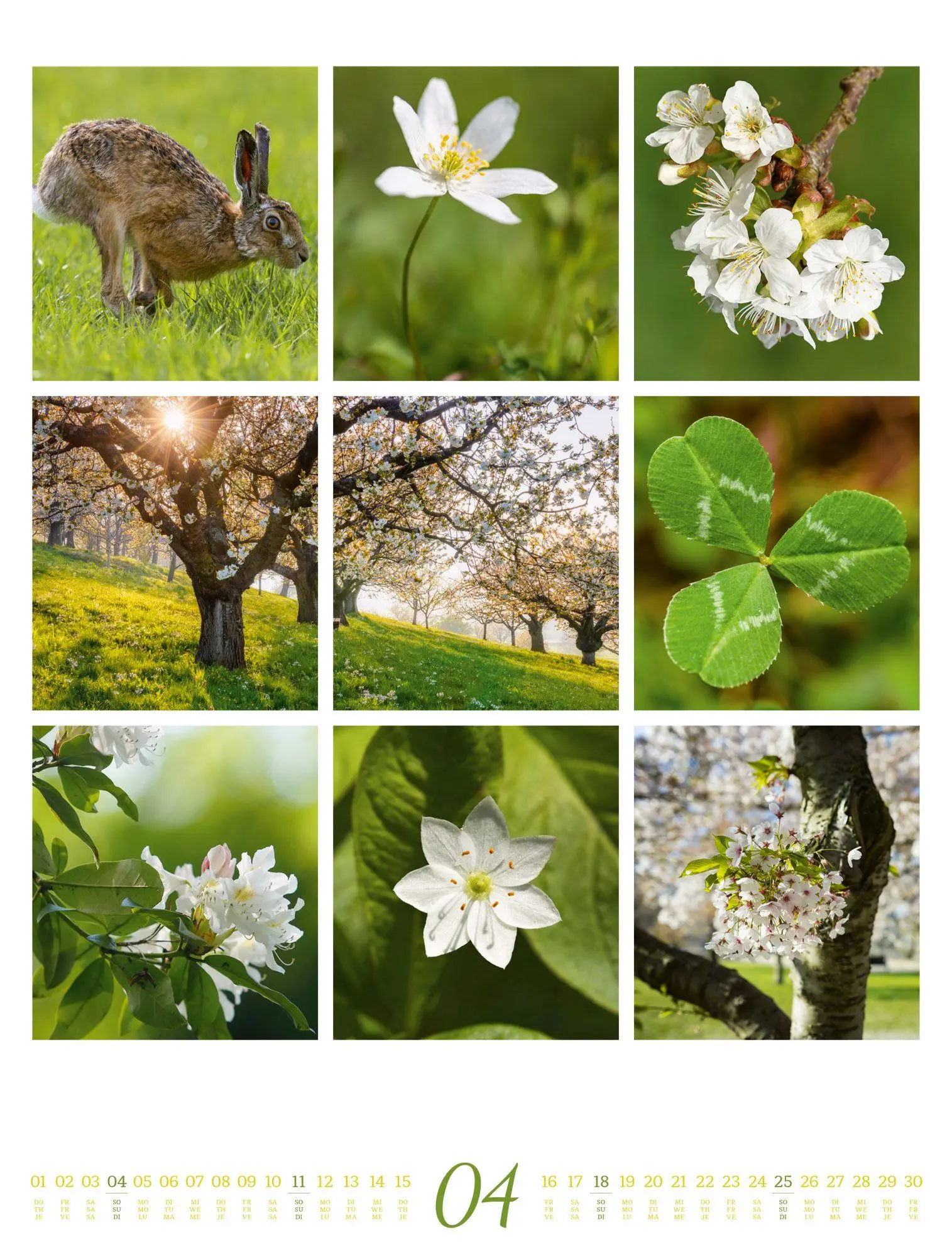 Bild: 9783838427850 | Inspiration Natur Kalender 2027 | Ackermann Kunstverlag GmbH | 14 S.
