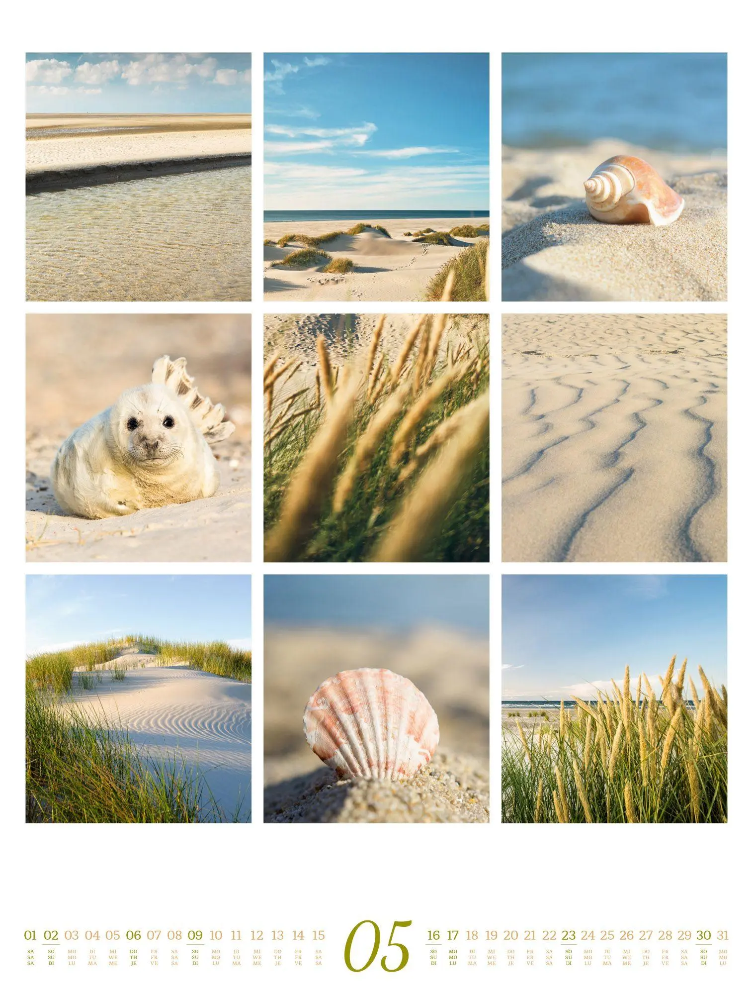 Bild: 9783838427850 | Inspiration Natur Kalender 2027 | Ackermann Kunstverlag GmbH | 14 S.