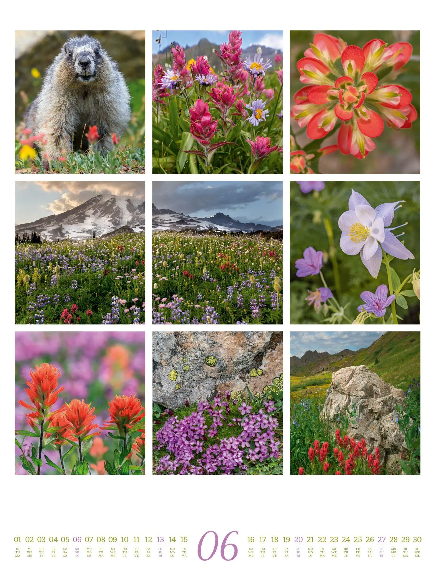Bild: 9783838427850 | Inspiration Natur Kalender 2027 | Ackermann Kunstverlag GmbH | 14 S.
