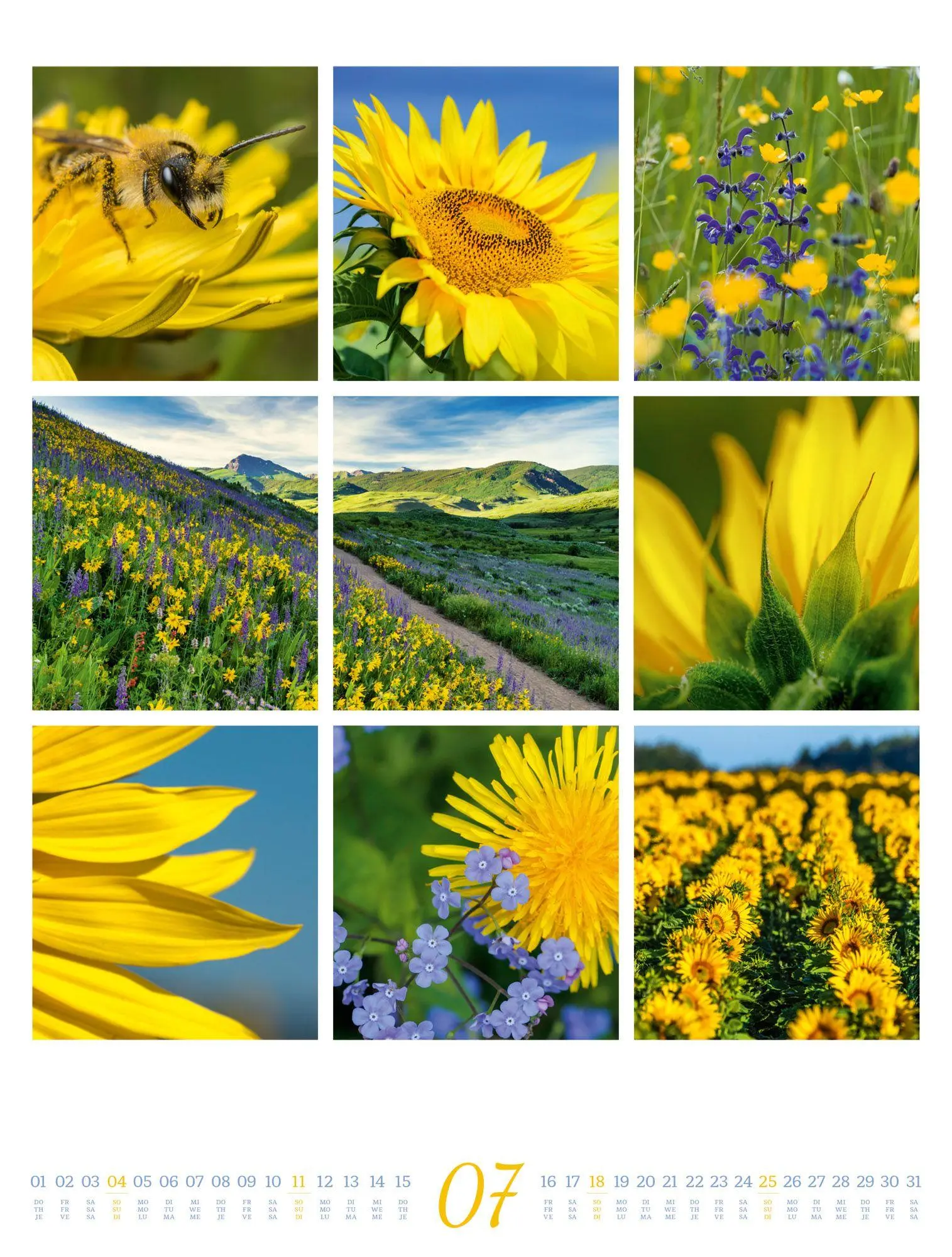 Bild: 9783838427850 | Inspiration Natur Kalender 2027 | Ackermann Kunstverlag GmbH | 14 S.