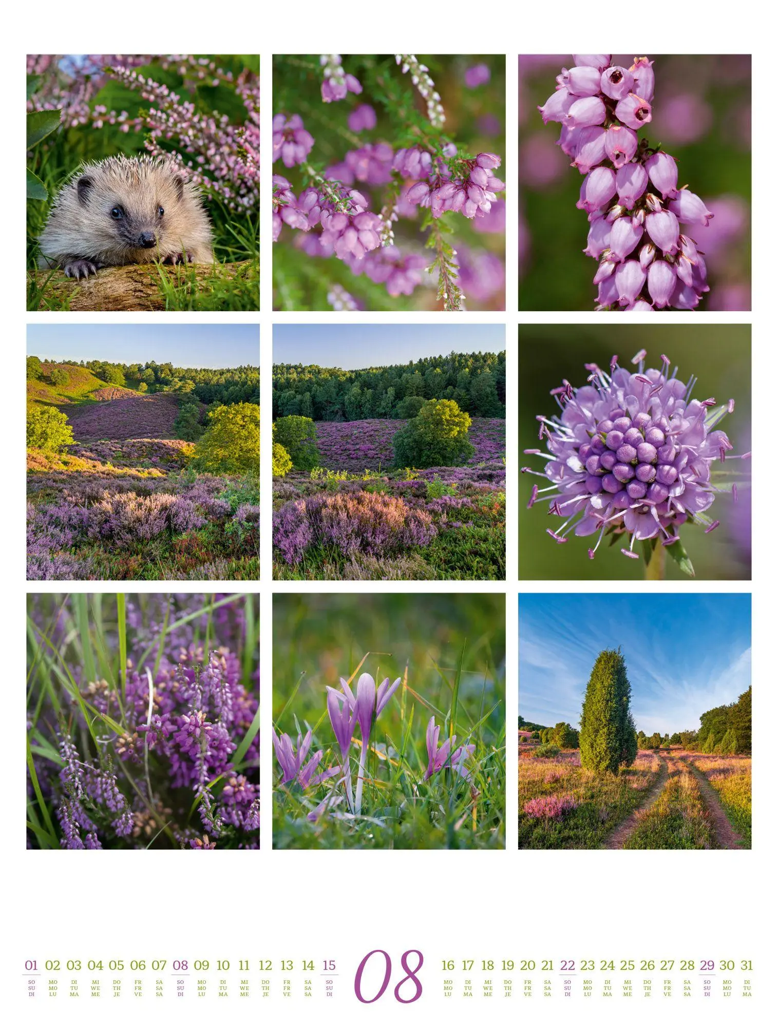 Bild: 9783838427850 | Inspiration Natur Kalender 2027 | Ackermann Kunstverlag GmbH | 14 S.
