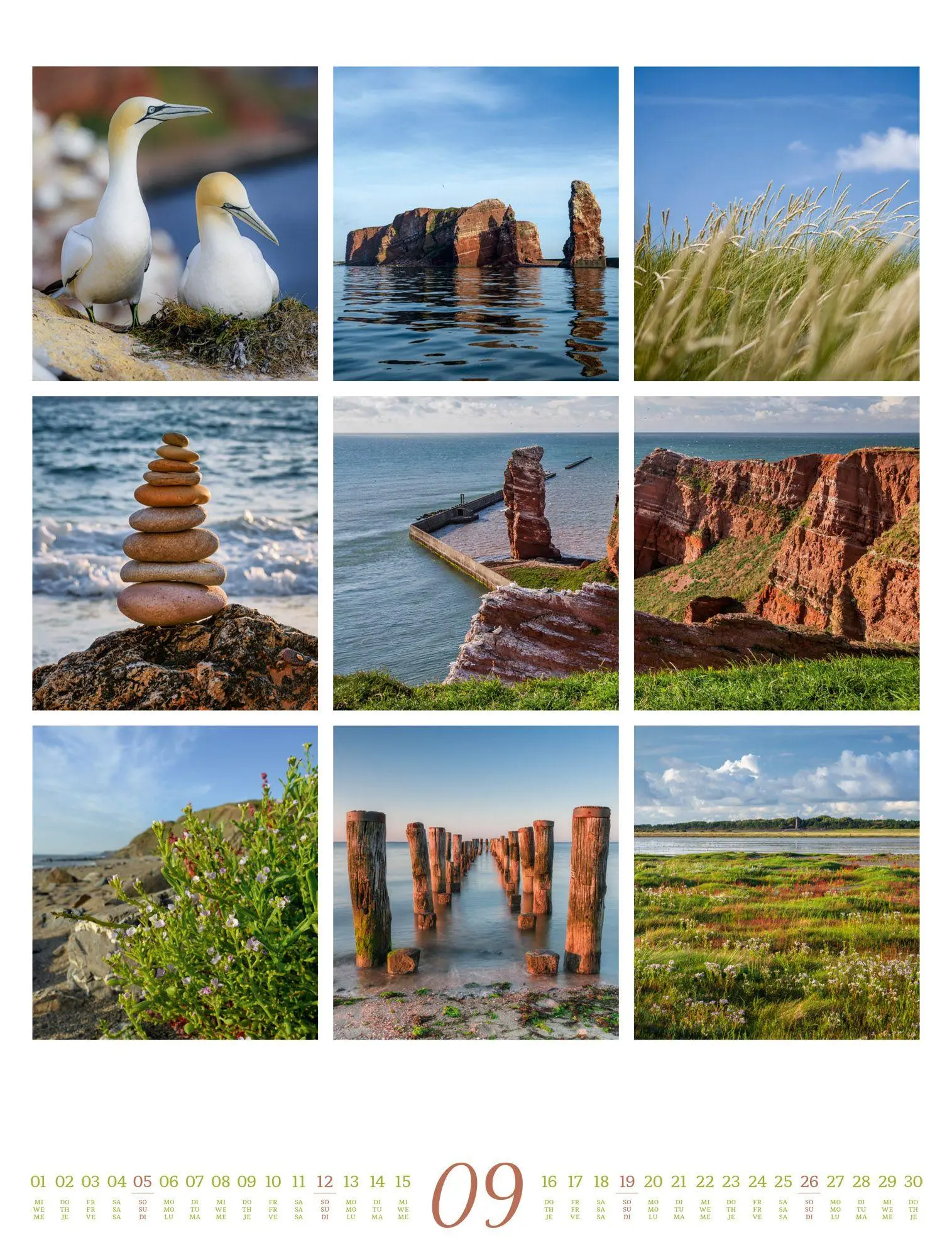 Bild: 9783838427850 | Inspiration Natur Kalender 2027 | Ackermann Kunstverlag GmbH | 14 S.