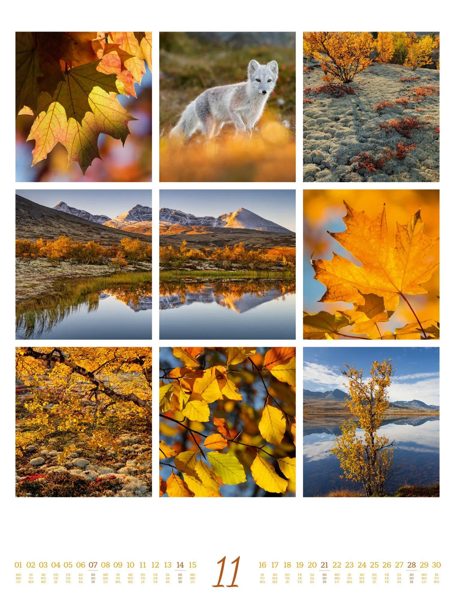 Bild: 9783838427850 | Inspiration Natur Kalender 2027 | Ackermann Kunstverlag GmbH | 14 S.