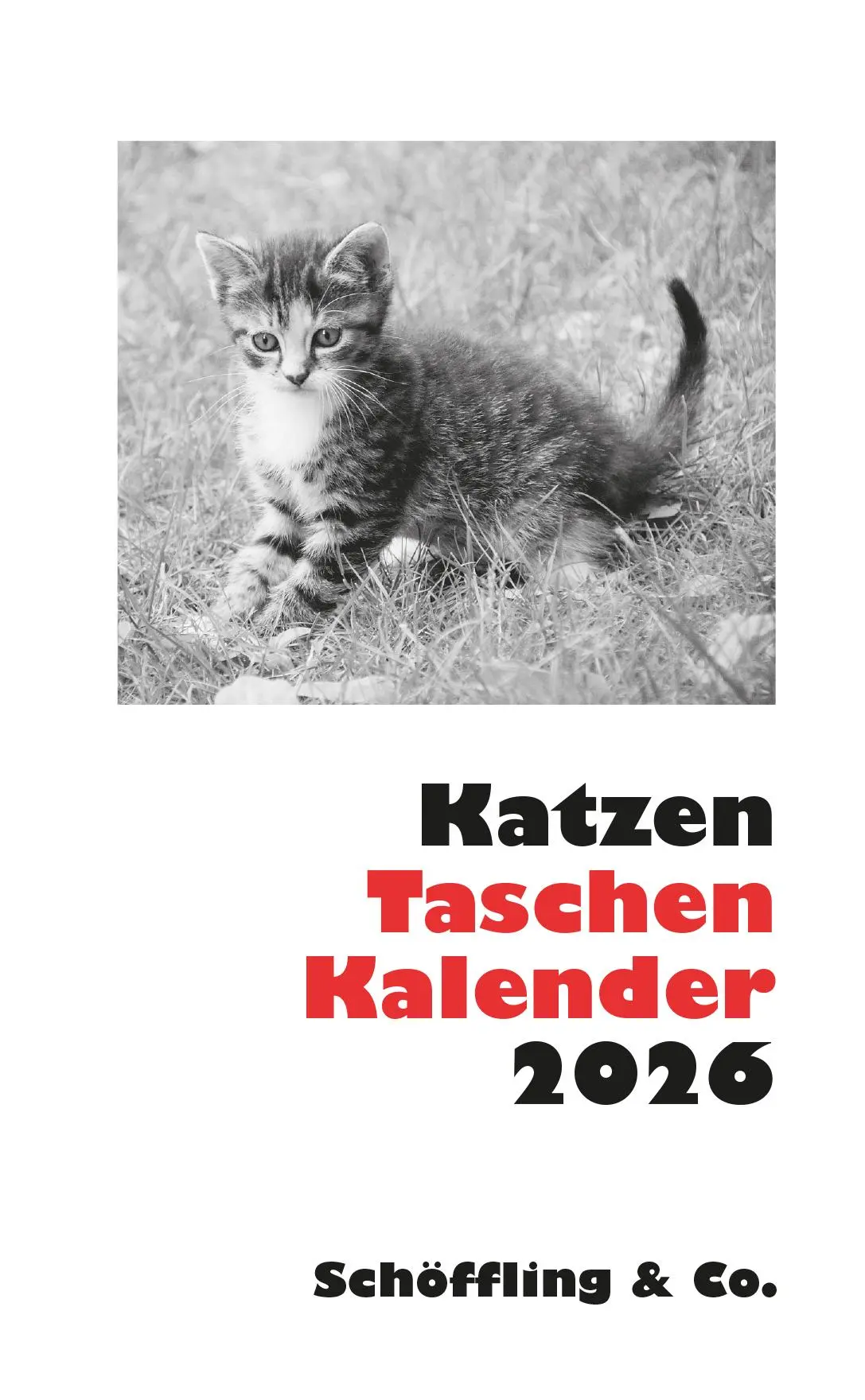 Cover: 9783895617850 | Katzen Taschenkalender 2026 | Julia Bachstein | Kalender | 144 S.