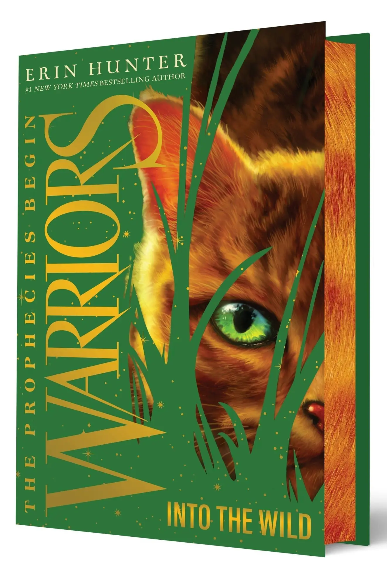 Cover: 9780063447950 | Warriors: The Prophecies Begin 01: Into the Wild Collector's Deluxe...