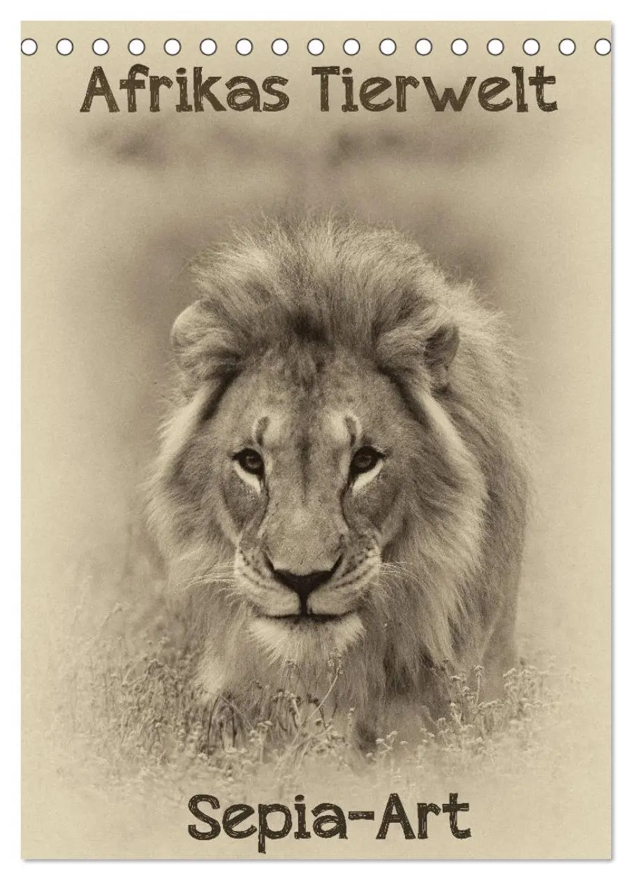 Cover: 9783516427950 | Afrikas Tierwelt - Sepia-Art (Tischkalender 2026 DIN A5 hoch),...