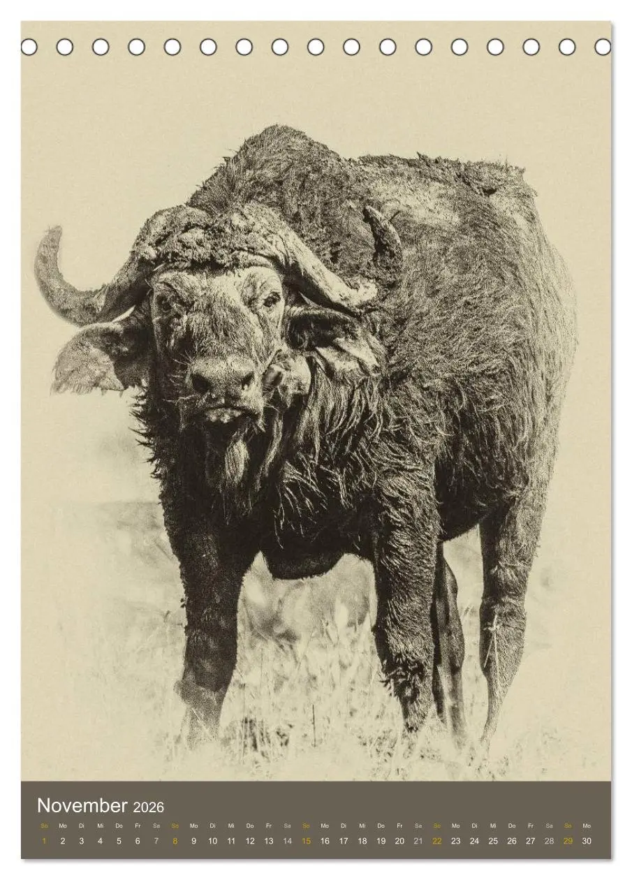 Bild: 9783516427950 | Afrikas Tierwelt - Sepia-Art (Tischkalender 2026 DIN A5 hoch),...