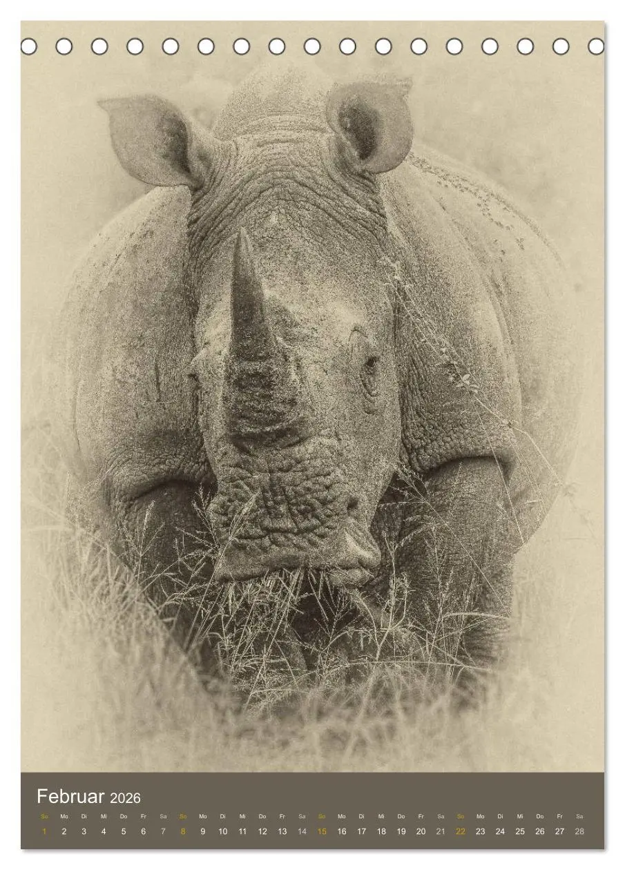 Bild: 9783516427950 | Afrikas Tierwelt - Sepia-Art (Tischkalender 2026 DIN A5 hoch),...