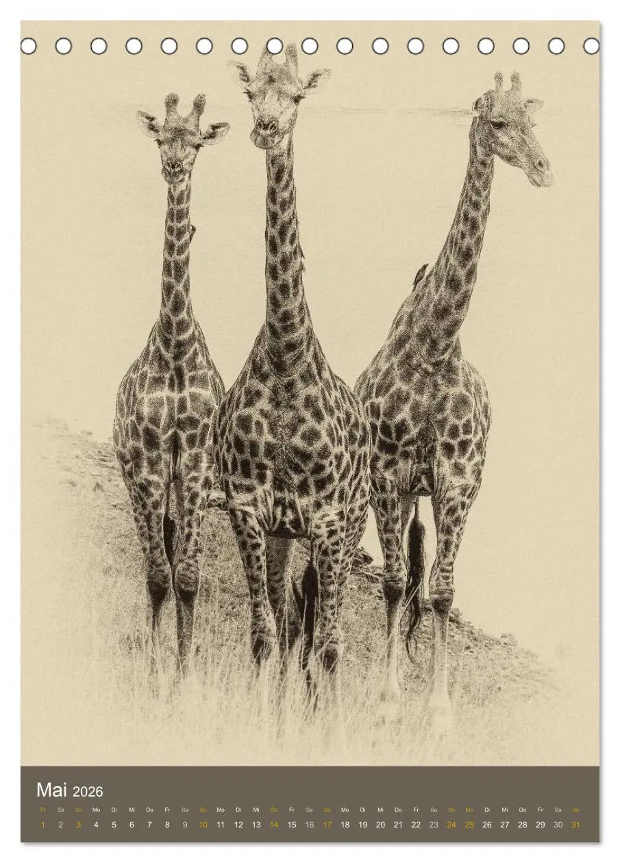 Bild: 9783516427950 | Afrikas Tierwelt - Sepia-Art (Tischkalender 2026 DIN A5 hoch),...