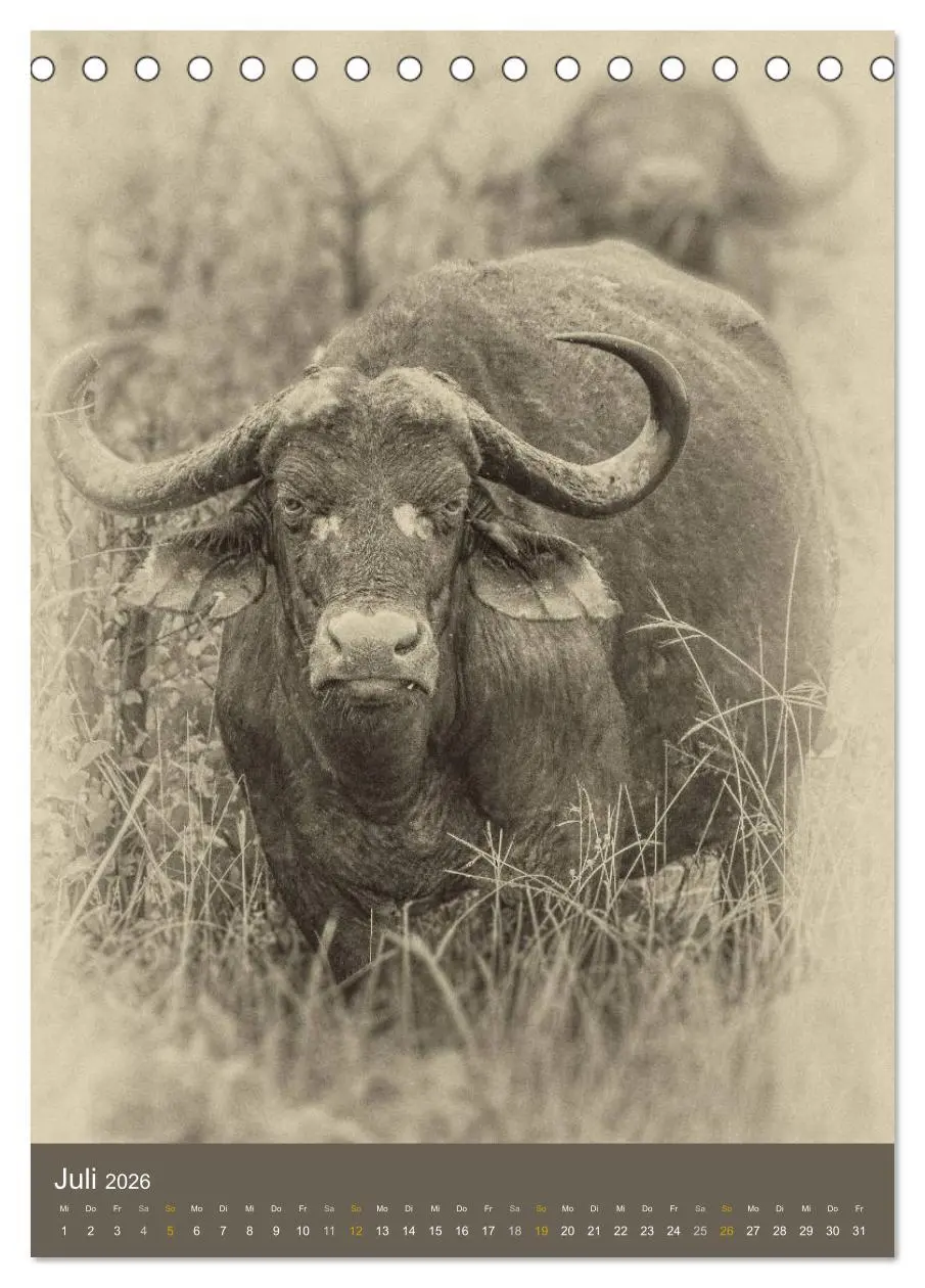 Bild: 9783516427950 | Afrikas Tierwelt - Sepia-Art (Tischkalender 2026 DIN A5 hoch),...