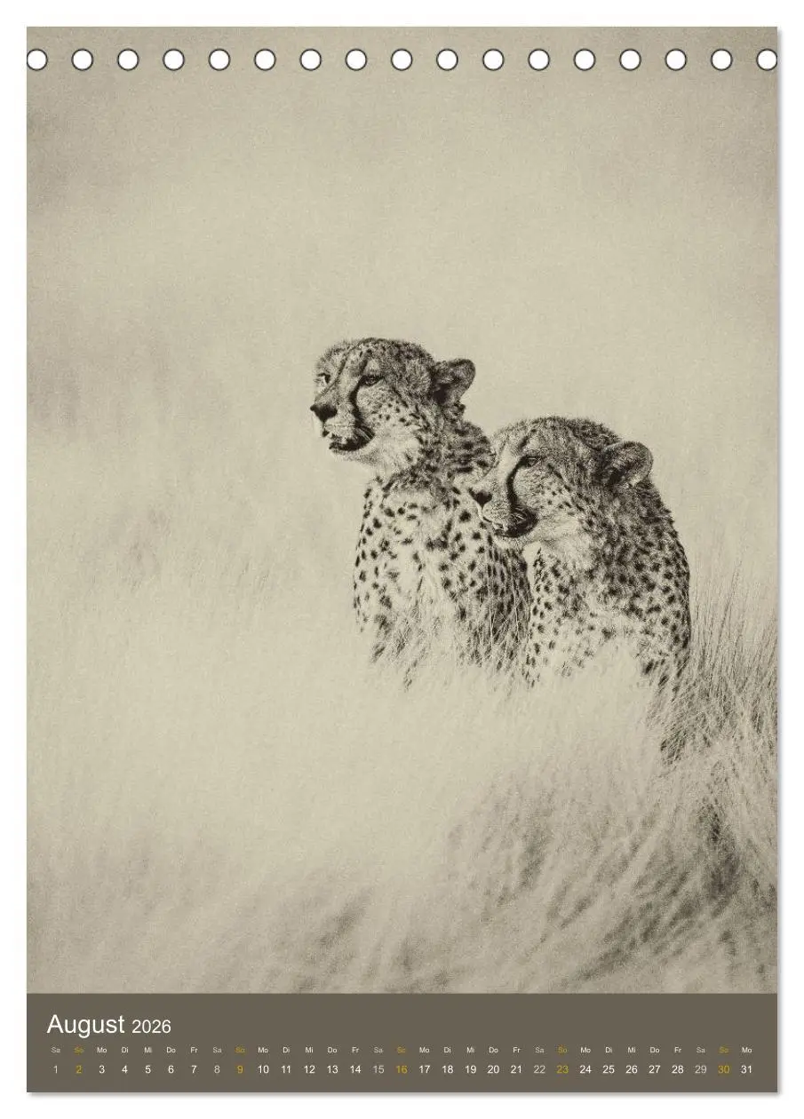 Bild: 9783516427950 | Afrikas Tierwelt - Sepia-Art (Tischkalender 2026 DIN A5 hoch),...