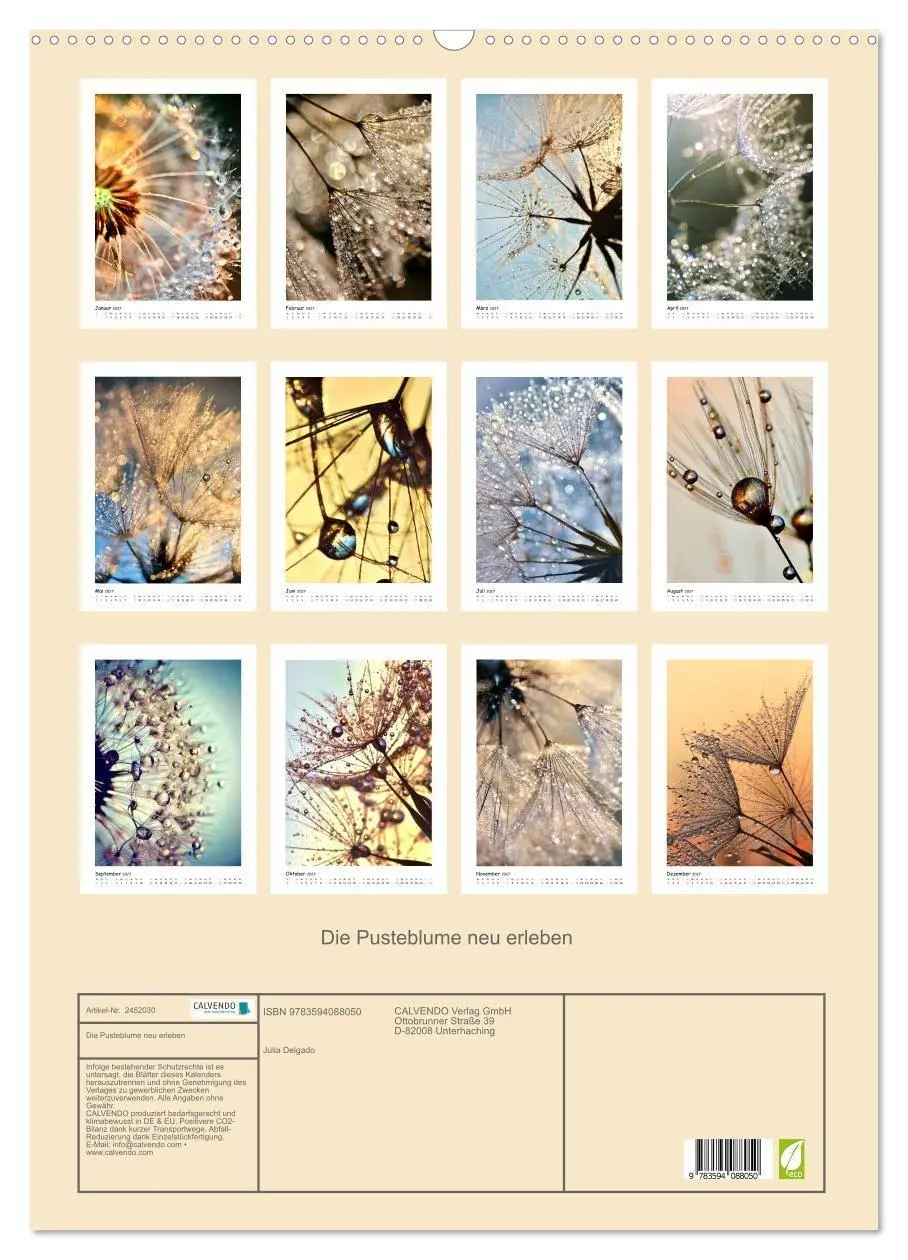Bild: 9783594088050 | Die Pusteblume neu erleben (Wandkalender 2027 DIN A2 hoch),...