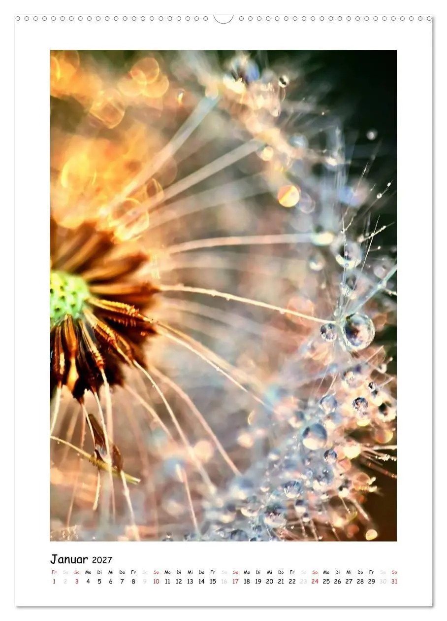 Bild: 9783594088050 | Die Pusteblume neu erleben (Wandkalender 2027 DIN A2 hoch),...