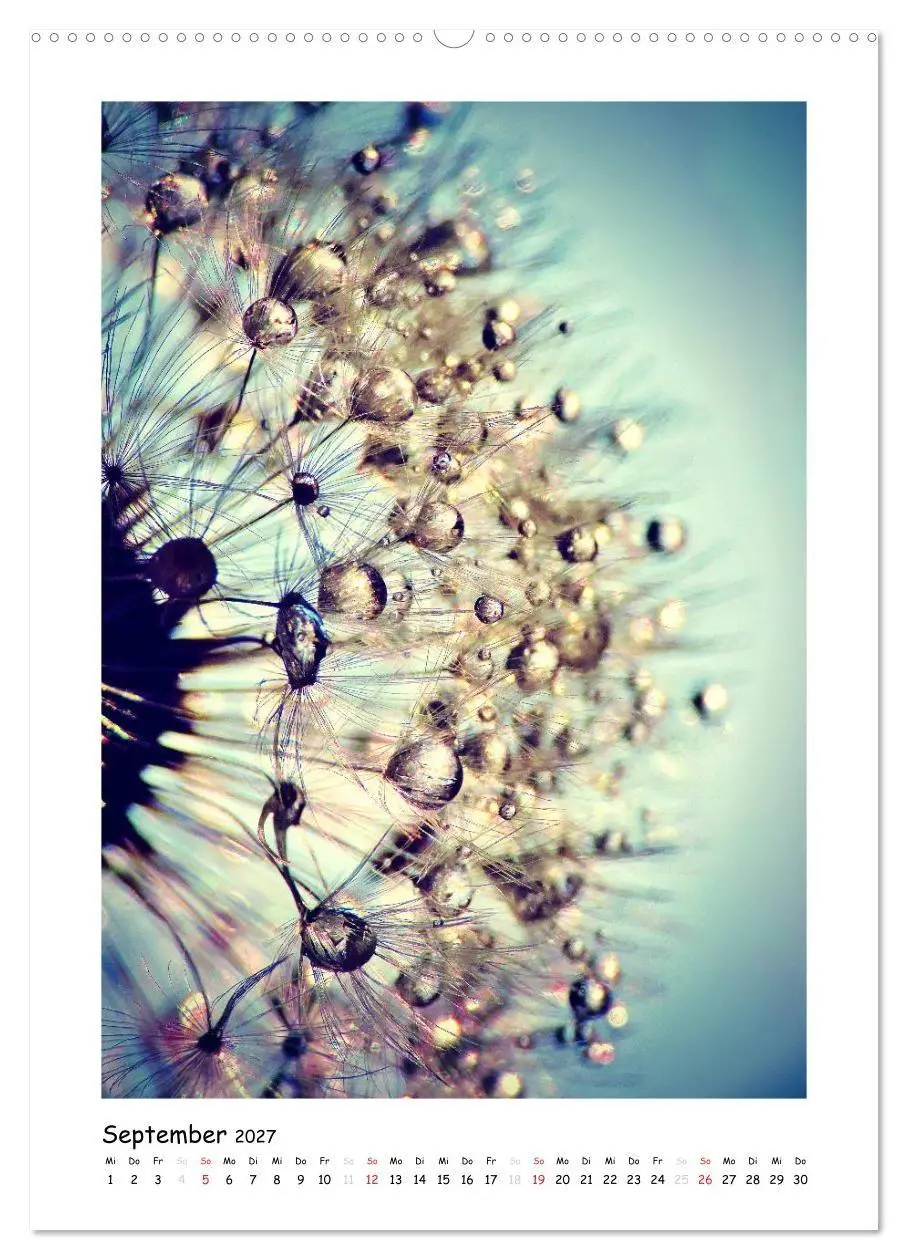 Bild: 9783594088050 | Die Pusteblume neu erleben (Wandkalender 2027 DIN A2 hoch),...