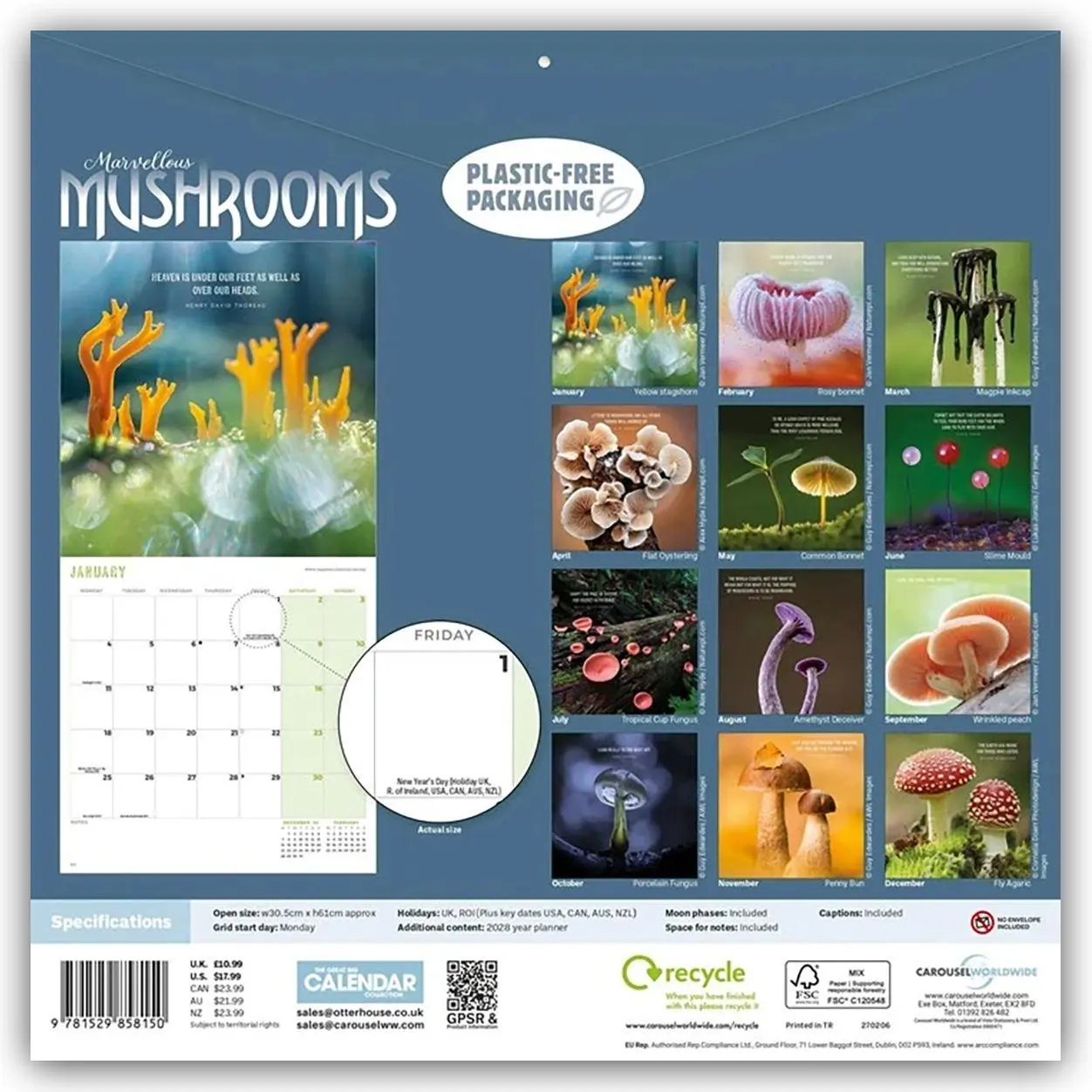 Rückseite: 9781529858150 | Mushrooms - Pilze 2027 - Wand-Kalender | Carousel Calendar | Kalender