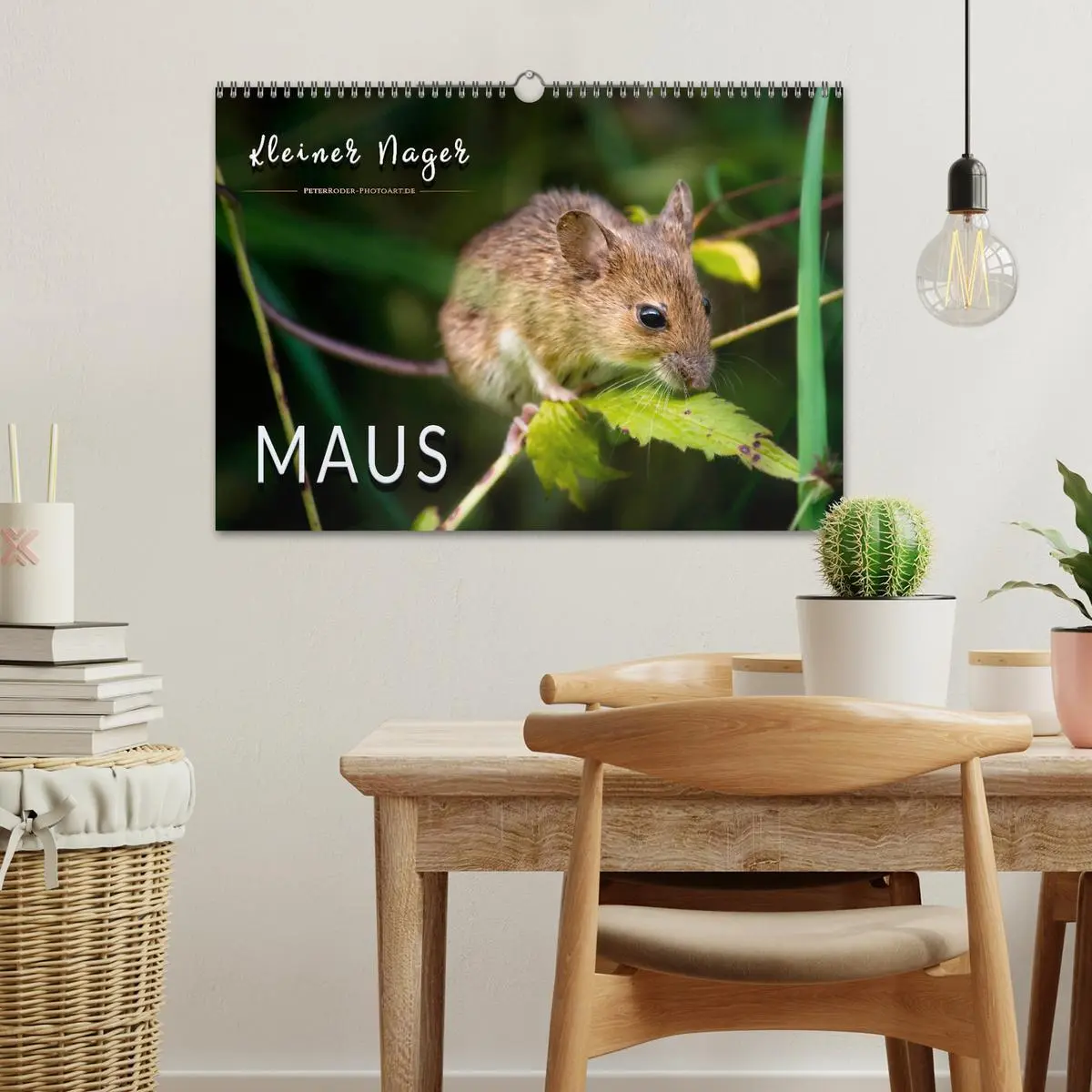 Bild: 9783457838150 | Kleiner Nager - Maus (Wandkalender 2026 DIN A3 quer), CALVENDO...