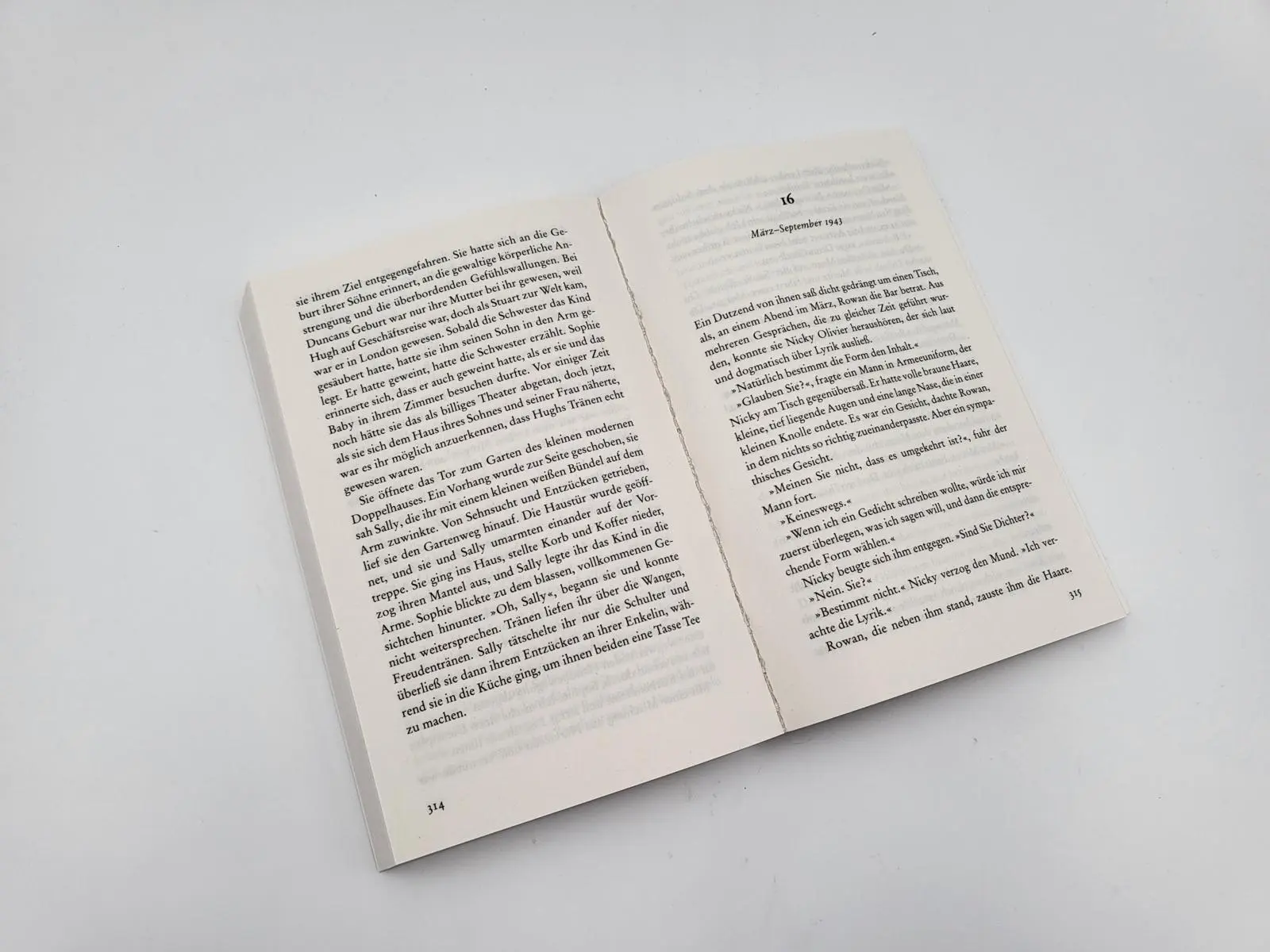 Bild: 9783492318150 | Meine ferne Schwester | Judith Lennox | Taschenbuch | 496 S. | Deutsch