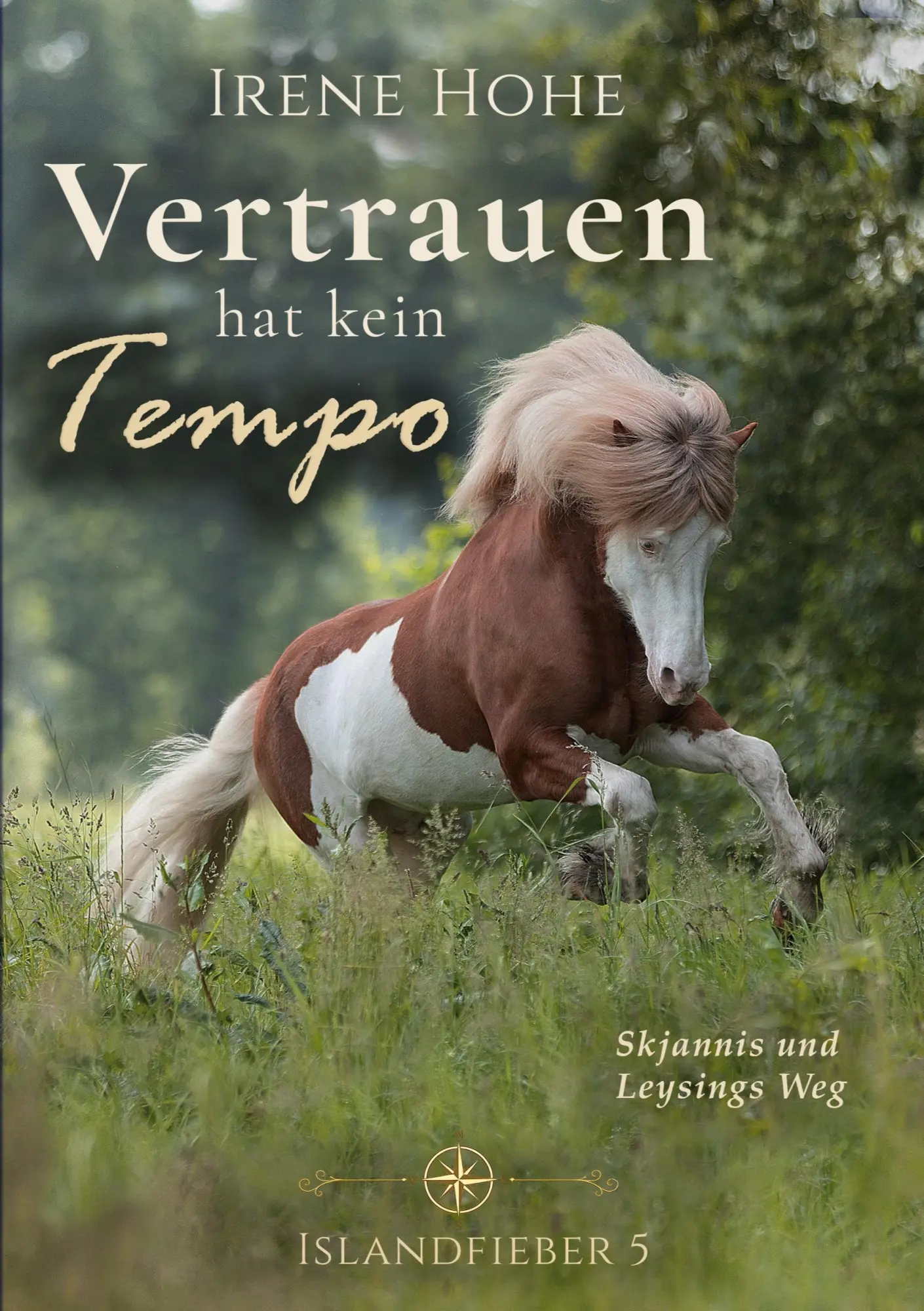 Cover: 9783696358150 | Vertrauen hat kein Tempo | Islandfieber 5 | Irene Hohe | Taschenbuch