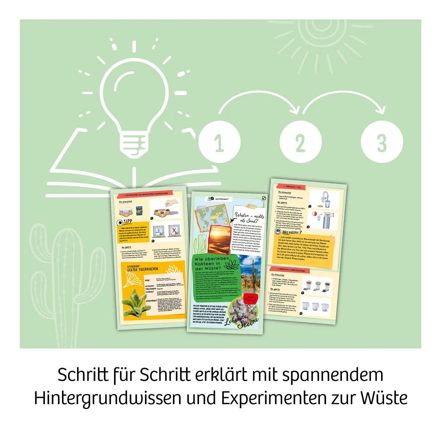 Bild: 4002051658250 | Kakteen-Wüste | Experimentierkasten | Spiel | 658250 | Deutsch | 2024