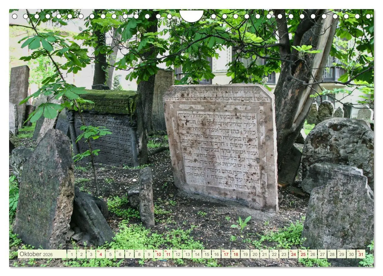 Bild: 9783457378250 | Prag. Jüdischer Friedhof und Synagogen (Wandkalender 2026 DIN A4...
