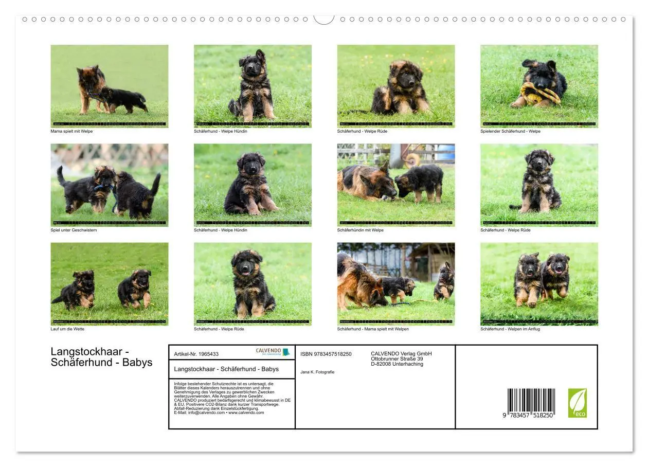 Bild: 9783457518250 | Langstockhaar - Schäferhund - Babys (hochwertiger Premium...